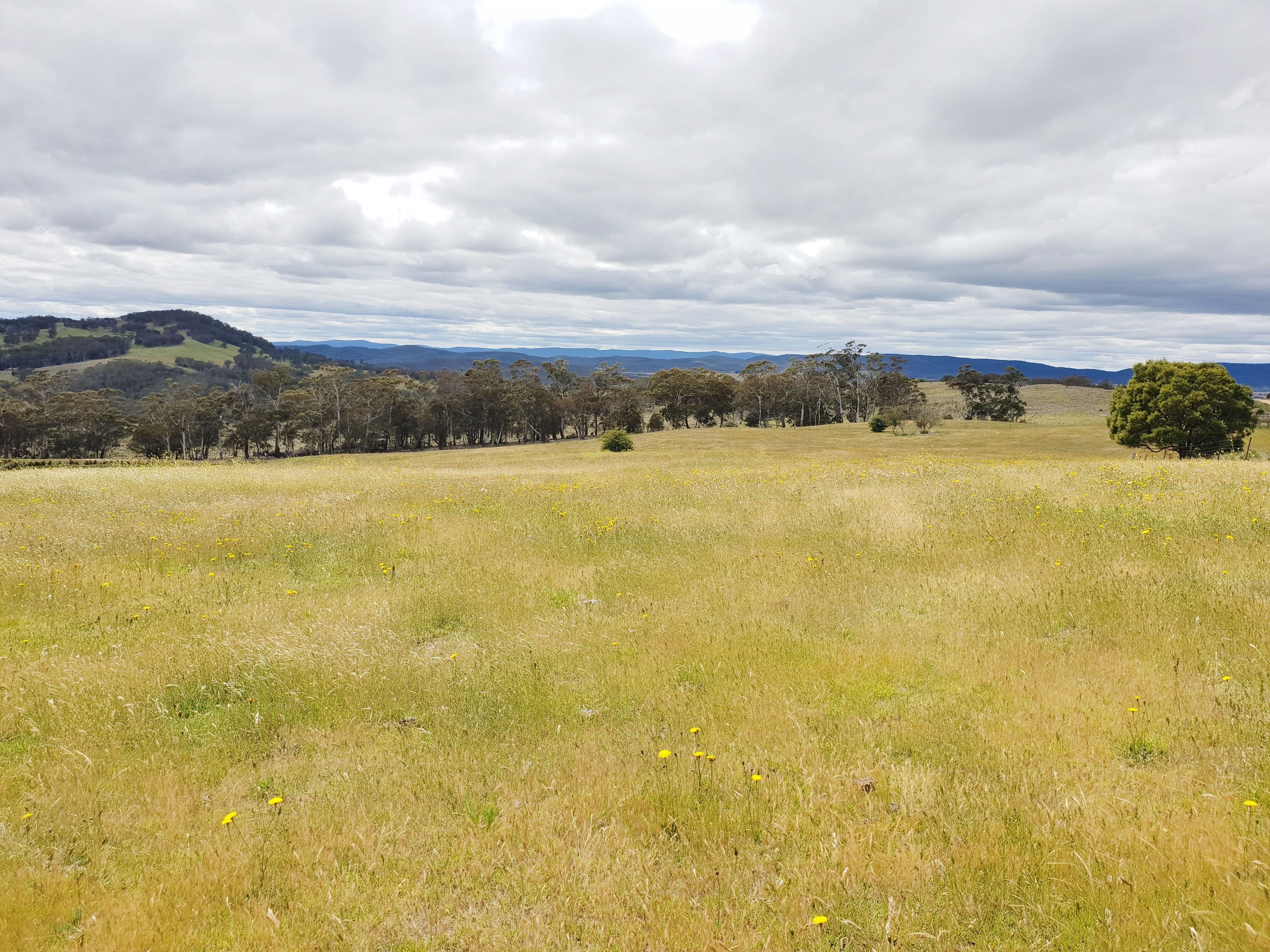 418 Parlour Creek Road, Braidwood NSW 2622, Braidwood - Thumbnail 6