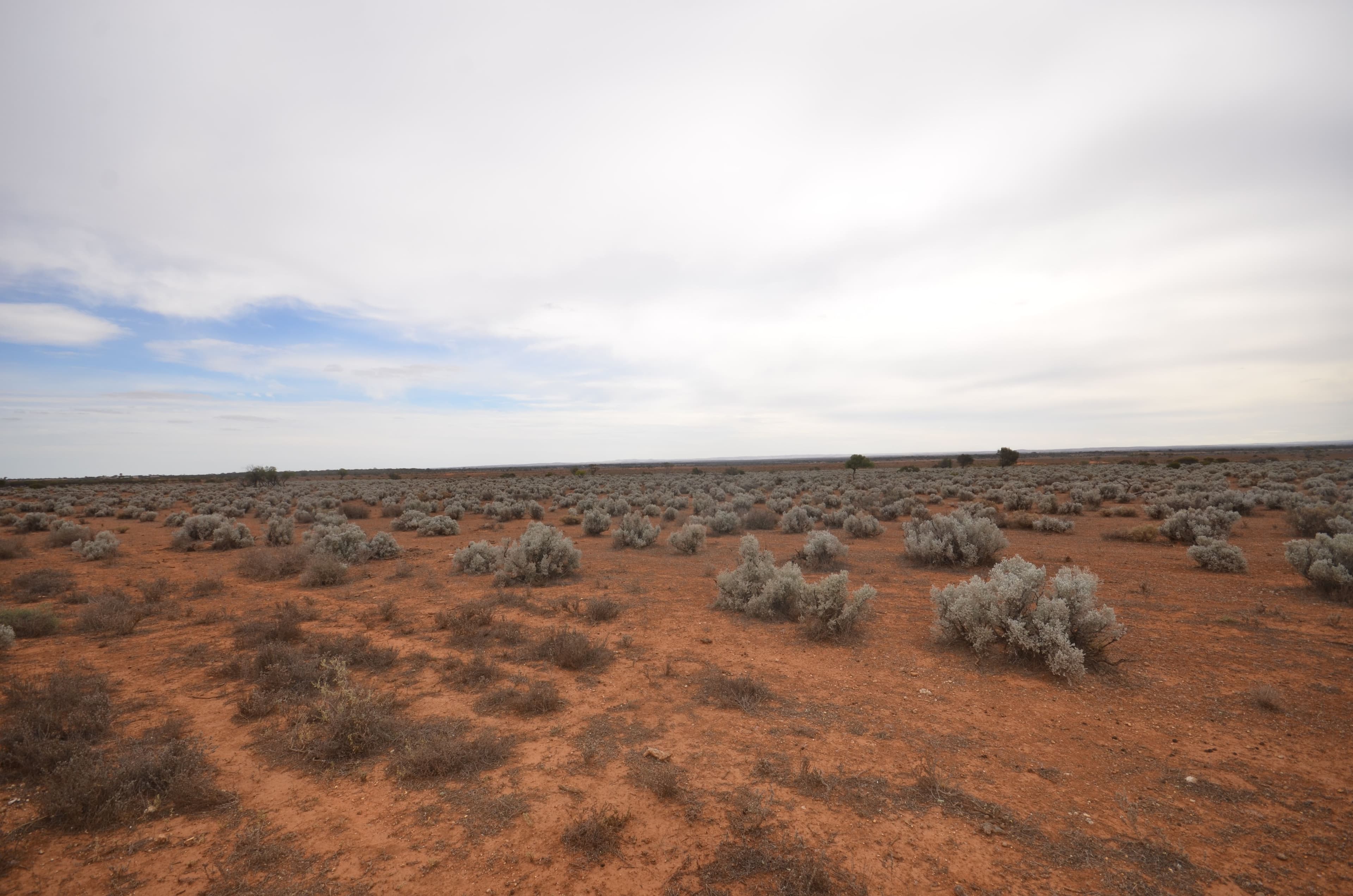 Lot 28 Dreckow Road, Bower SA 5374, Bower - Thumbnail 2