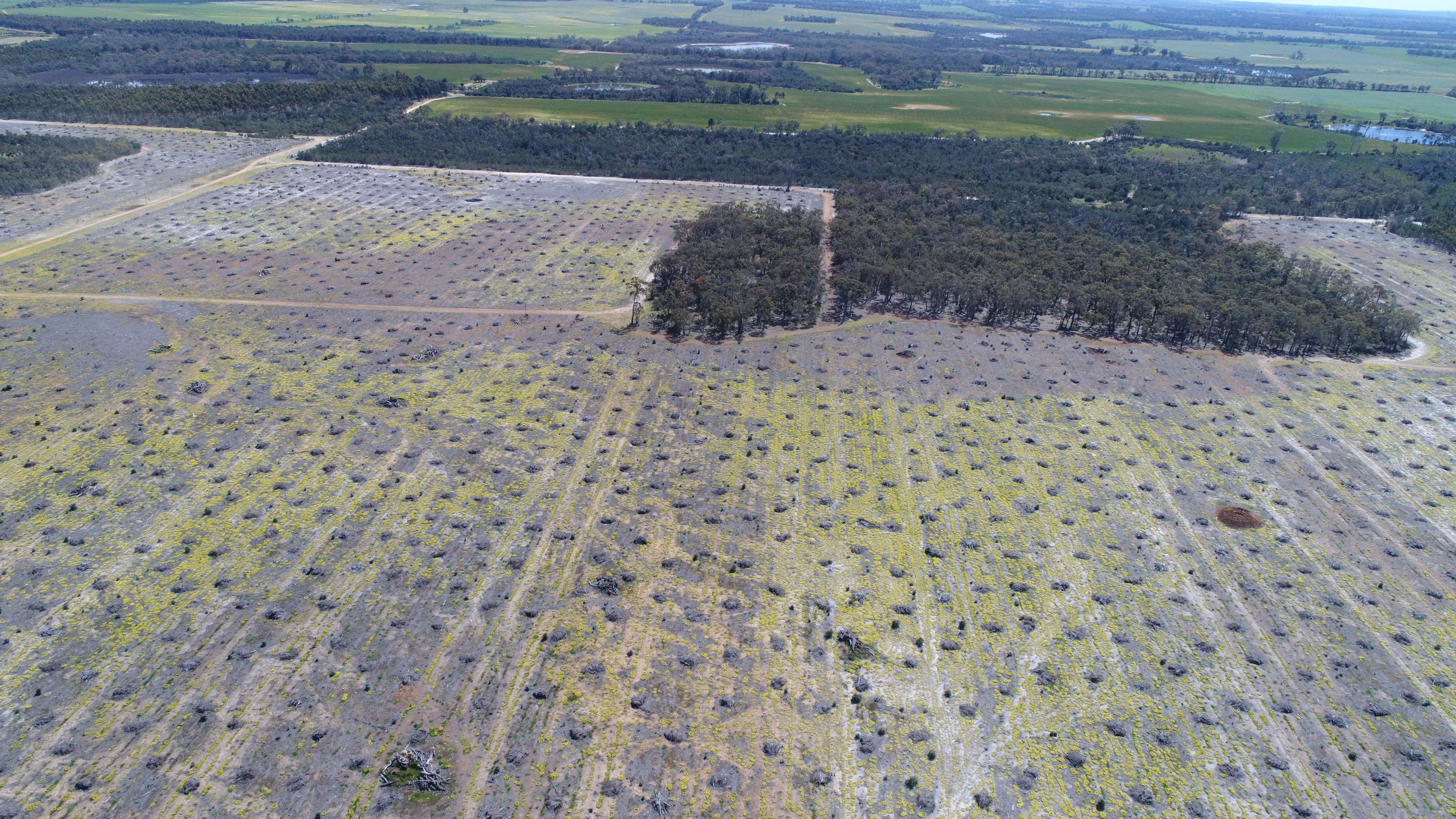 674 Kwornicup Road, Forest Hill WA 6324, Forest Hill - Image 1
