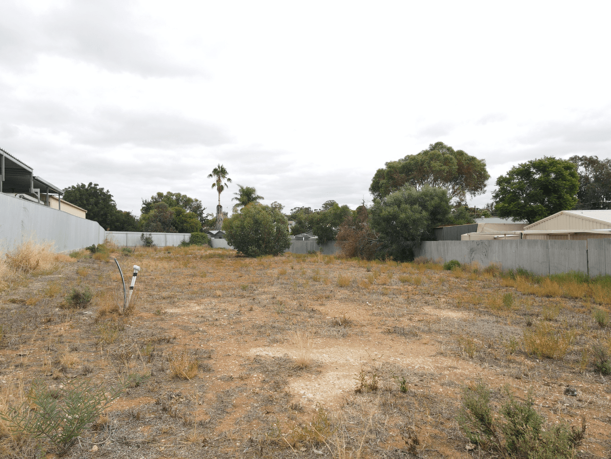 19 Philip Street, Mannum SA 5238, Mannum - Thumbnail 3