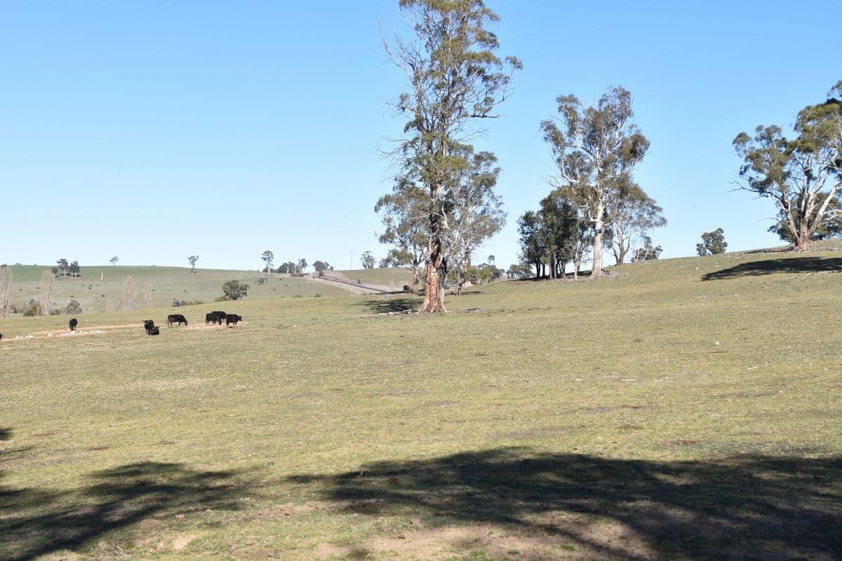 6466 Abercrombie Road, Oberon NSW 2787, Oberon - Thumbnail 4