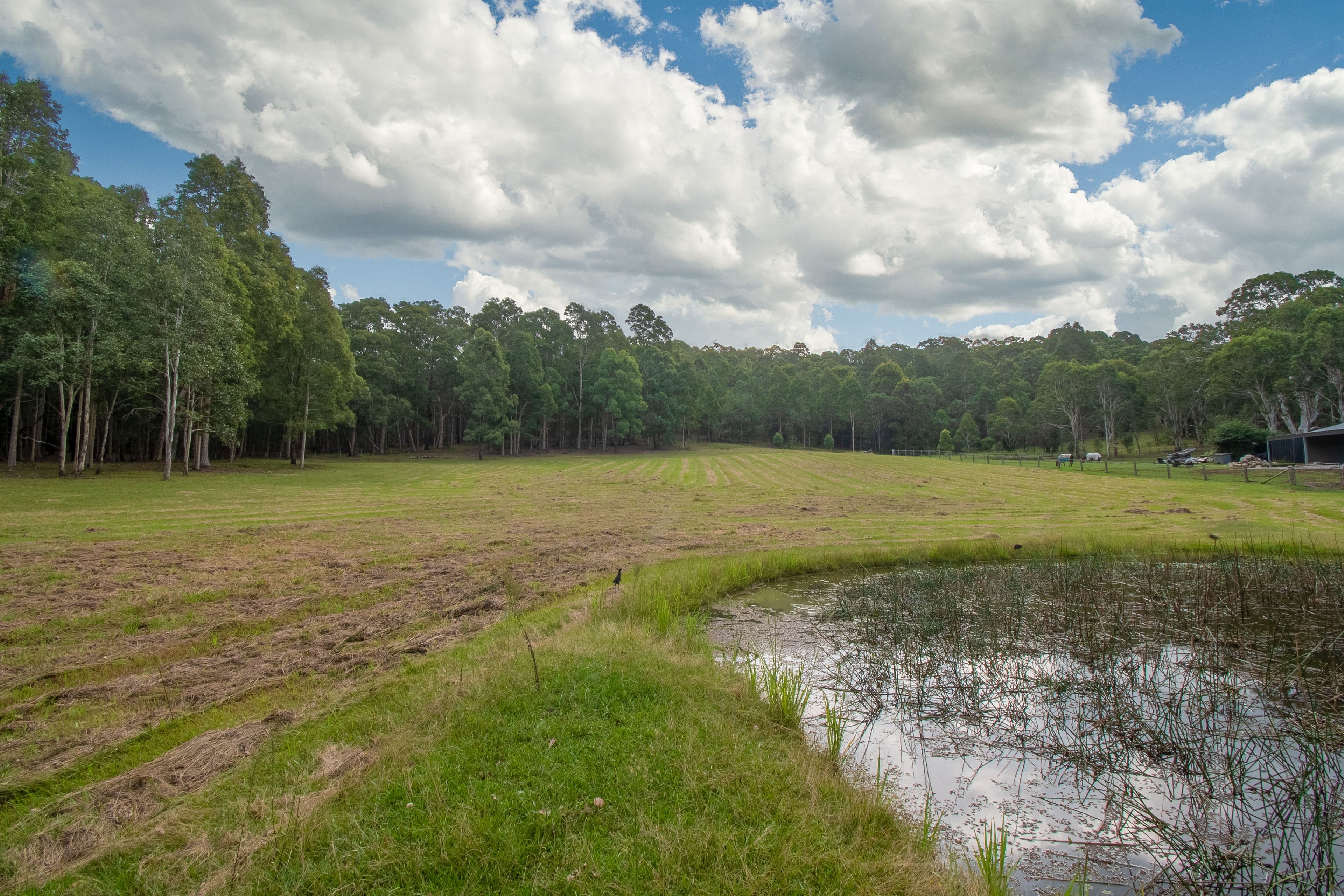 37 Tobins Road, Mandalong NSW 2264, Mandalong - Thumbnail 3