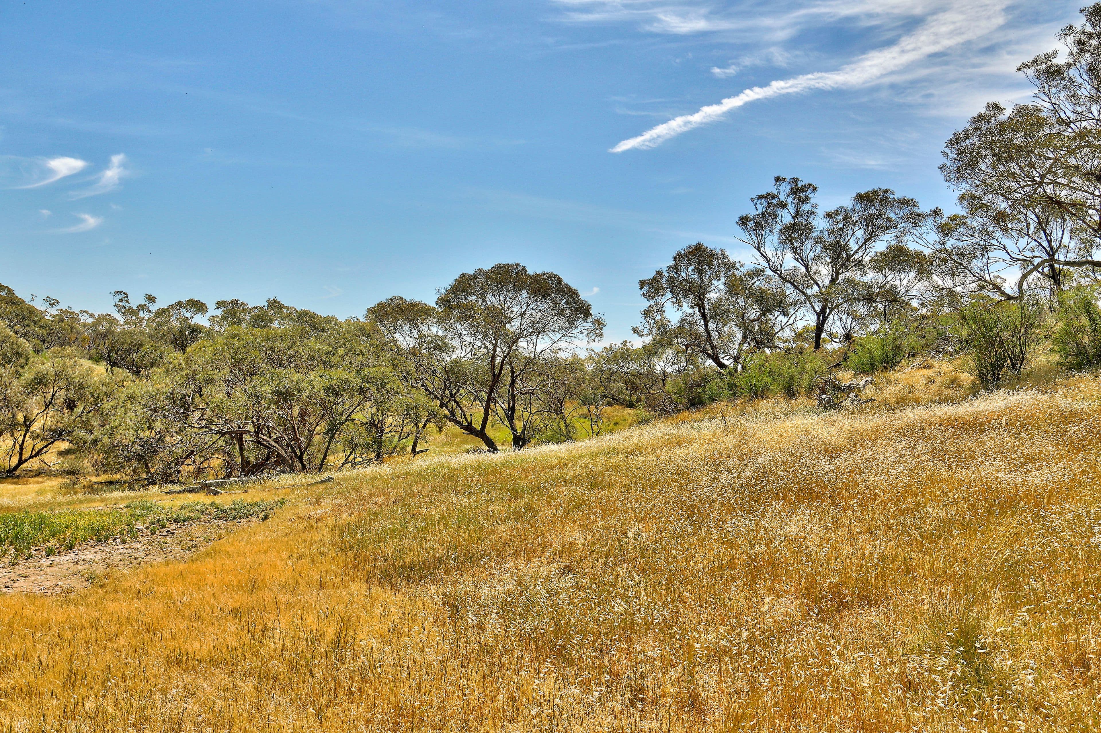 "Twin Valleys" Yacka - Andrews Road, YACKA SA 5470, Yacka - Thumbnail 2