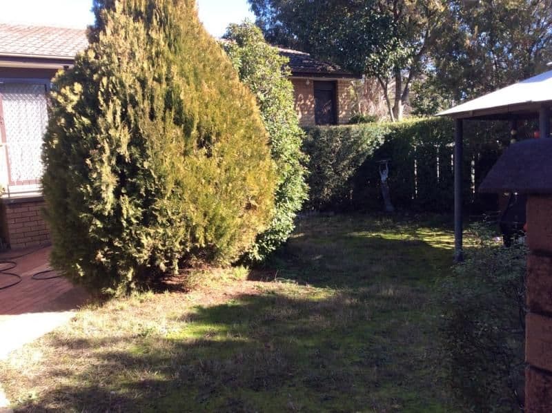 2/1 Cantor Crescent, Higgins ACT 2615, Higgins - Thumbnail 6