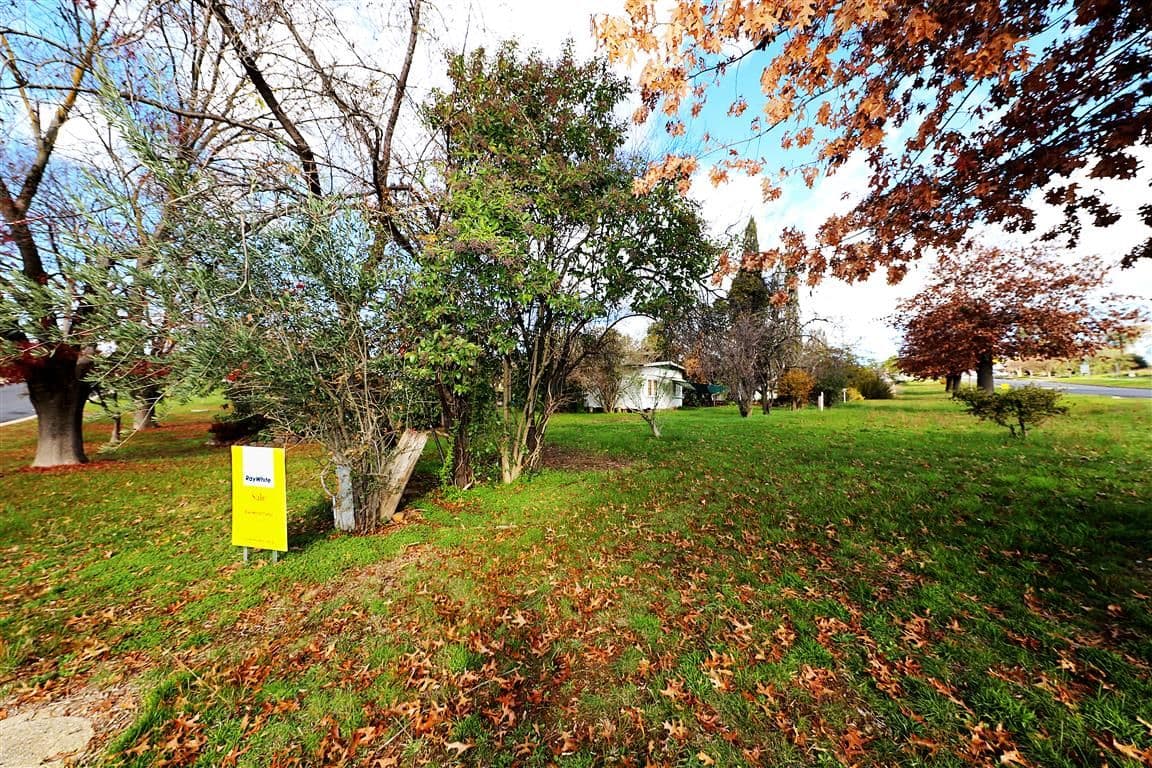 43 Lynch Street, Adelong - Image 1