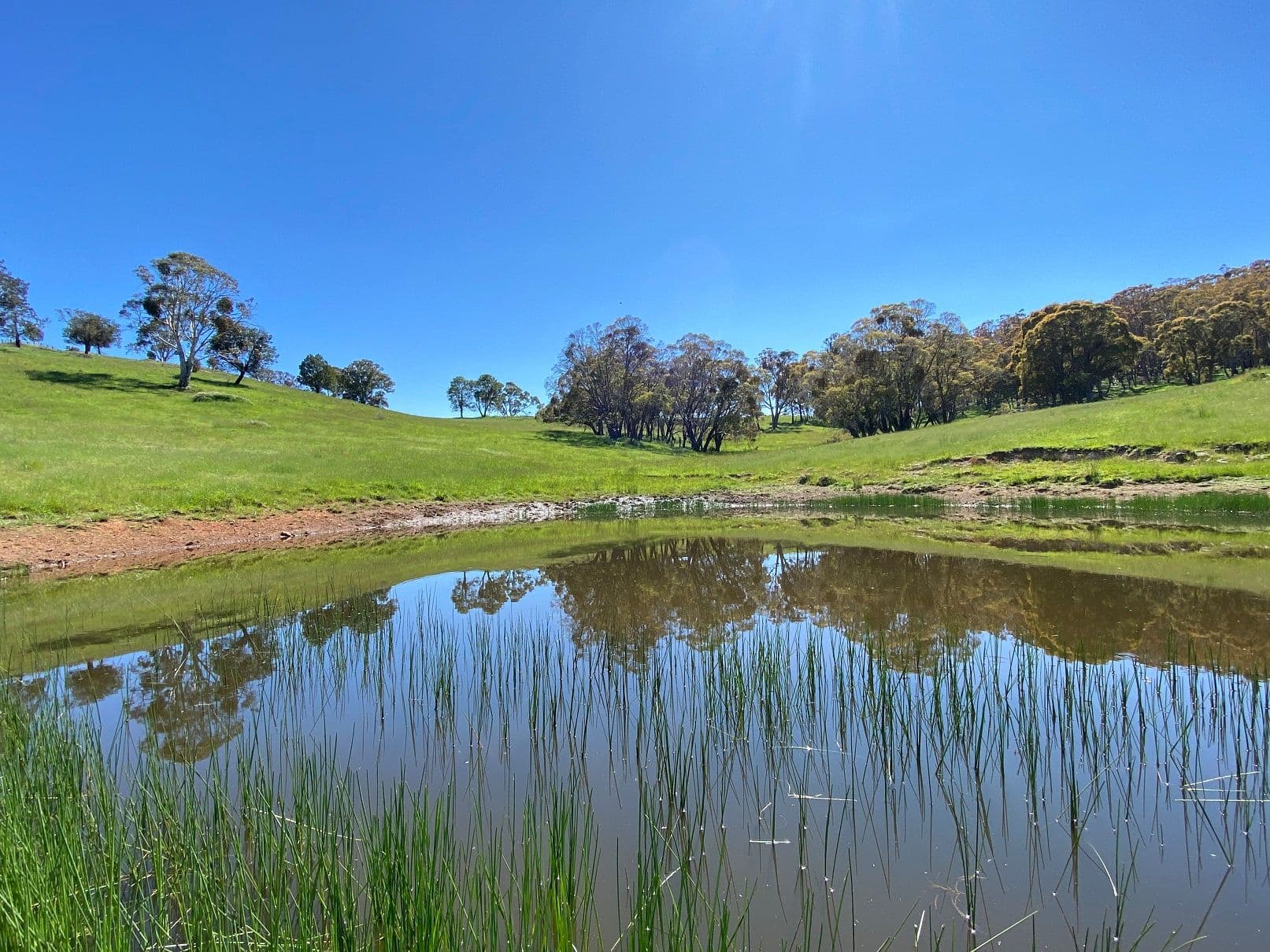 1696 Abercrombie Road, Black Springs NSW 2787, Black Springs - Thumbnail 3
