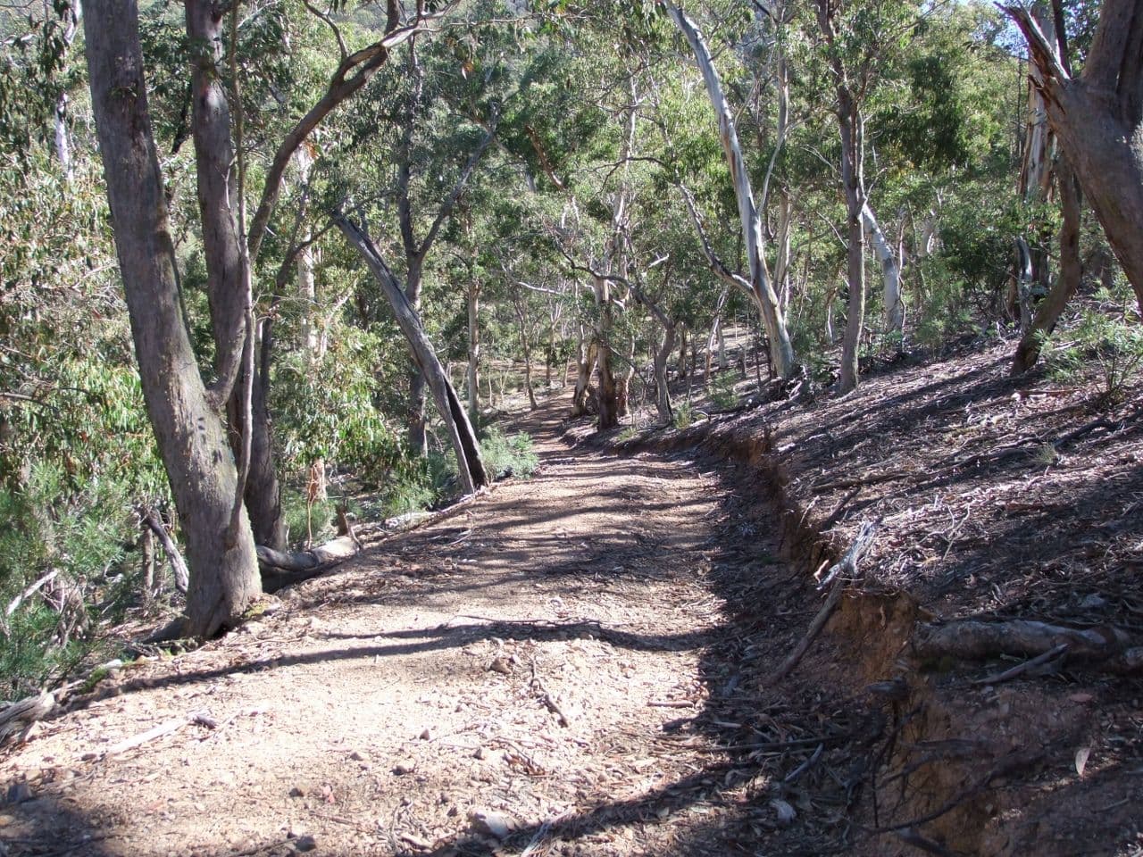 Oberon NSW 2787, Oberon - Thumbnail 5