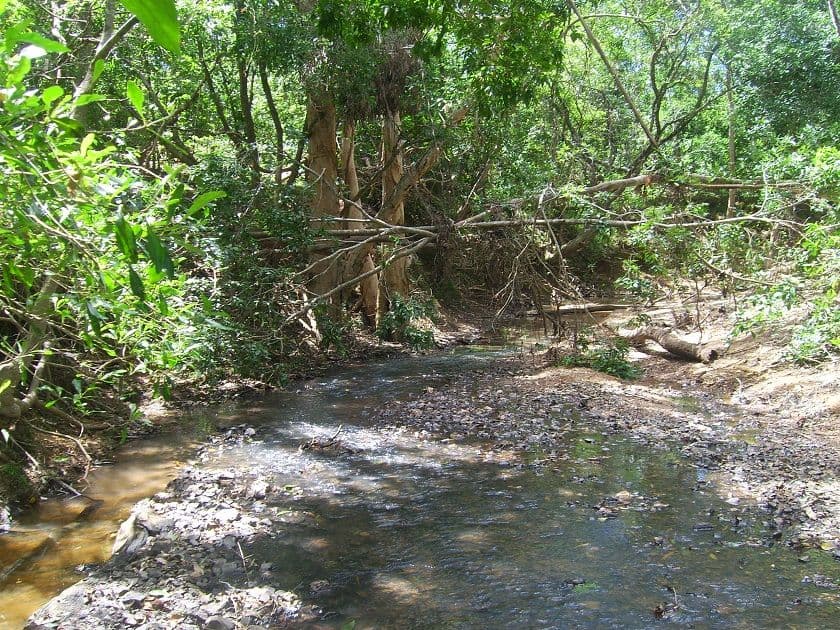 Lot 56 Solander Road, Cooktown QLD 4895, Cooktown - Thumbnail 3