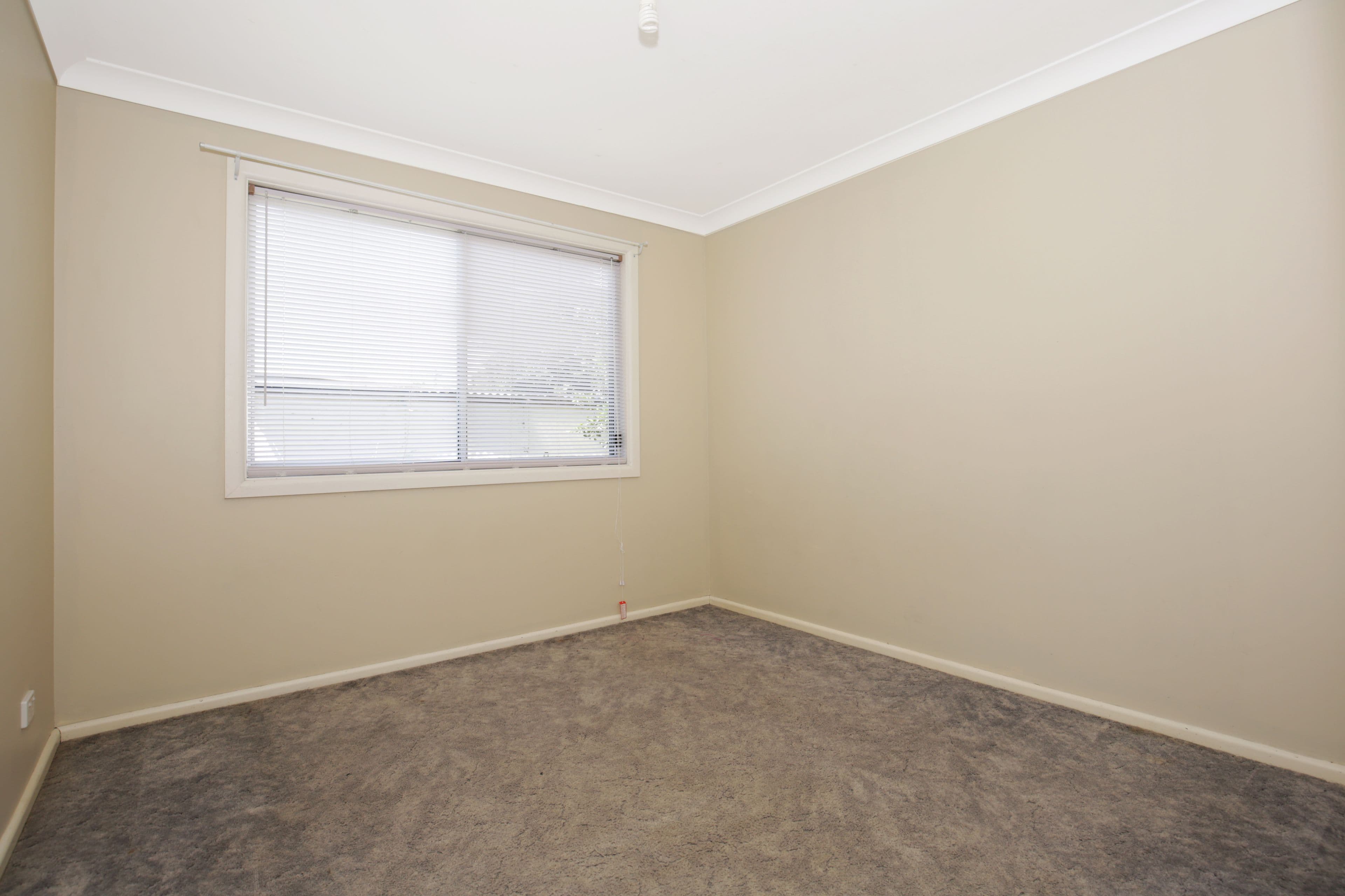 103 Wallace Street, Nowra - Thumbnail 6