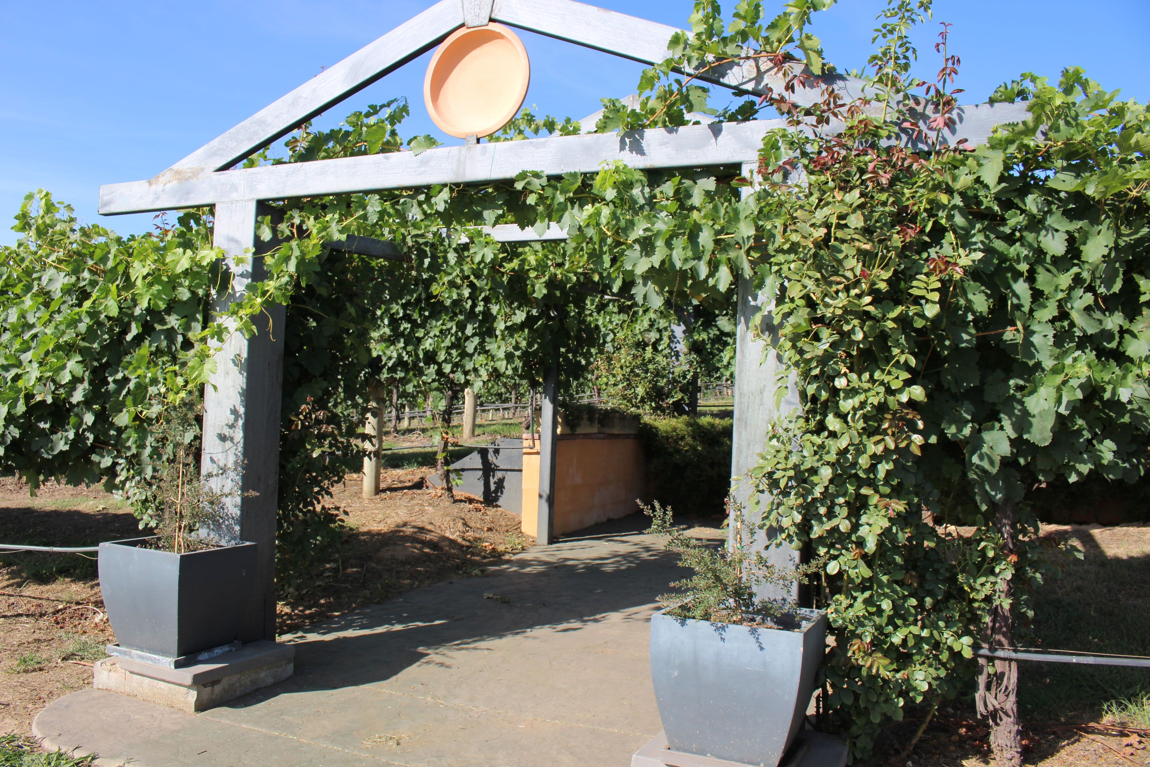 3446 Jingellic Road, Tumbarumba NSW 2653, Tumbarumba - Thumbnail 7