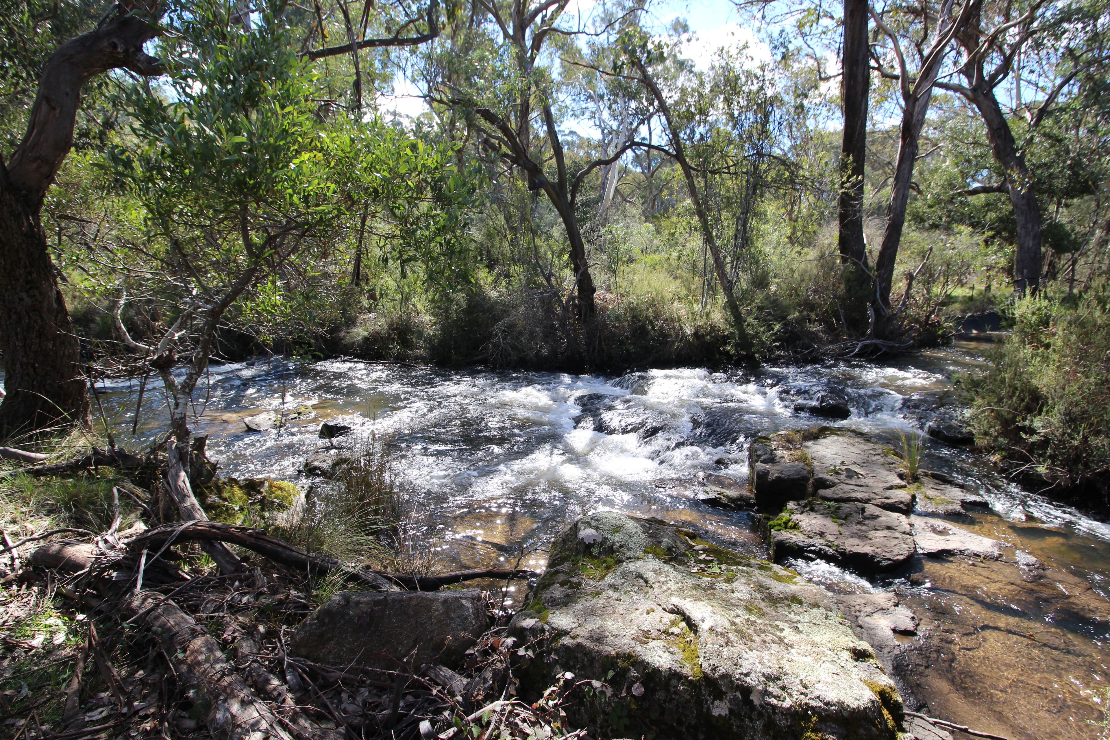 1743 Tooma Road, Paddys River NSW 2653, Paddys River - Thumbnail 2