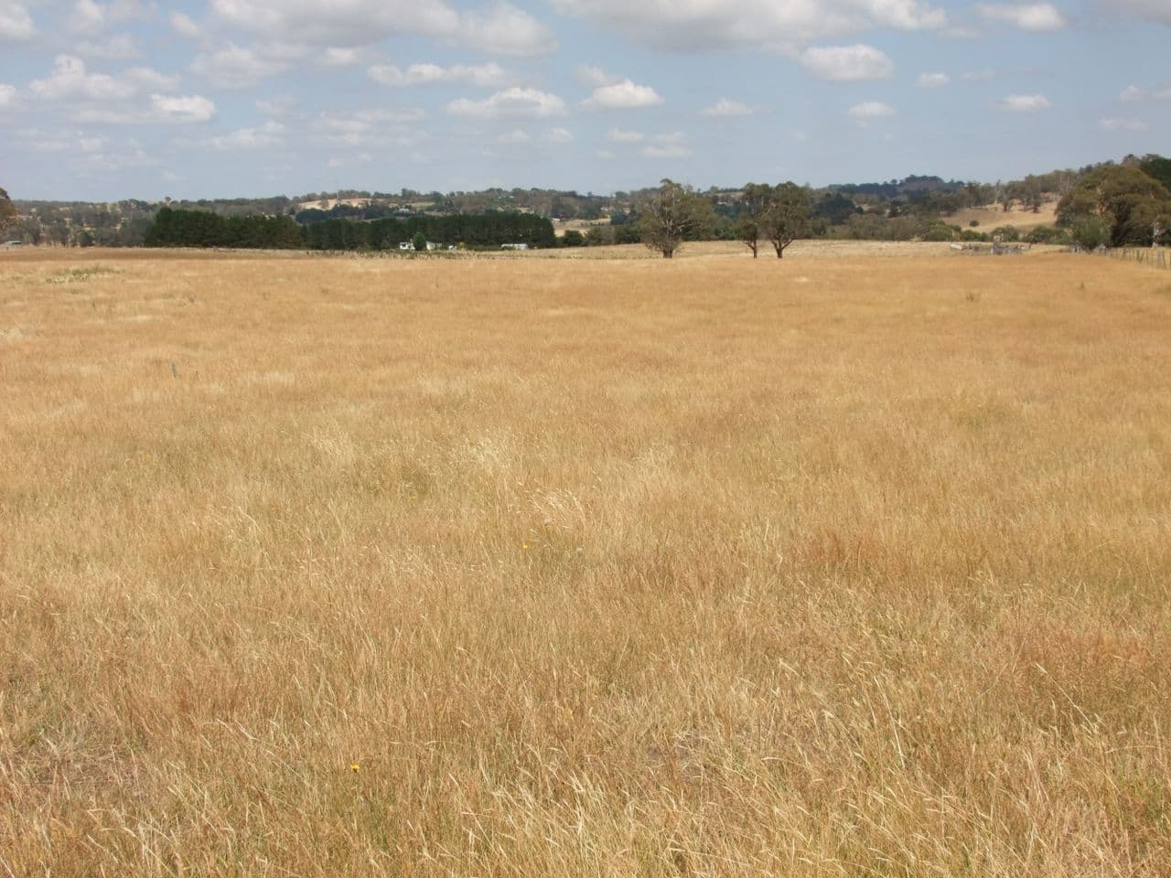 Neville NSW 2799, Neville - Image 1