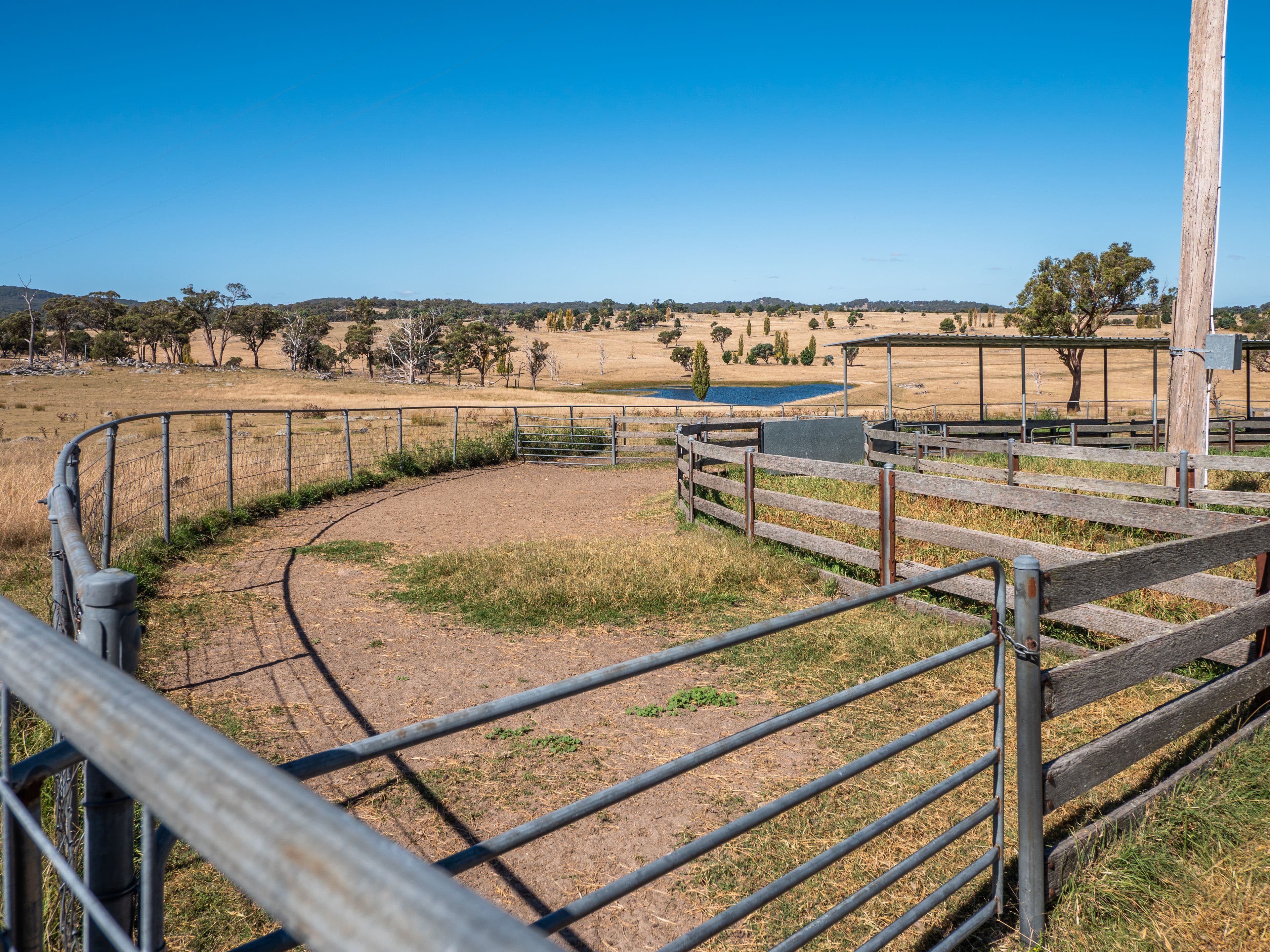 136 Bellbrook East Road, Armidale NSW 2350, Armidale - Thumbnail 4