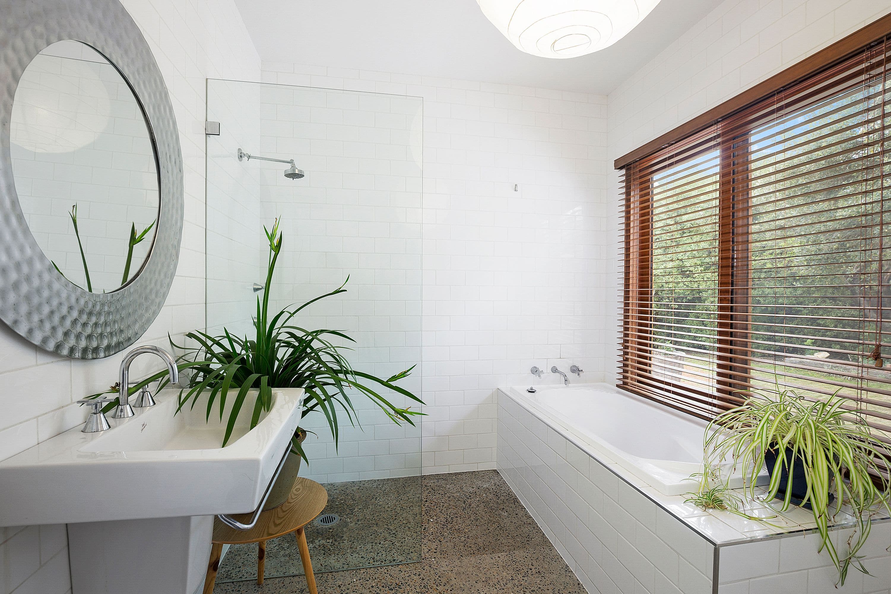 20 Wilson Street, Braidwood - Thumbnail 5