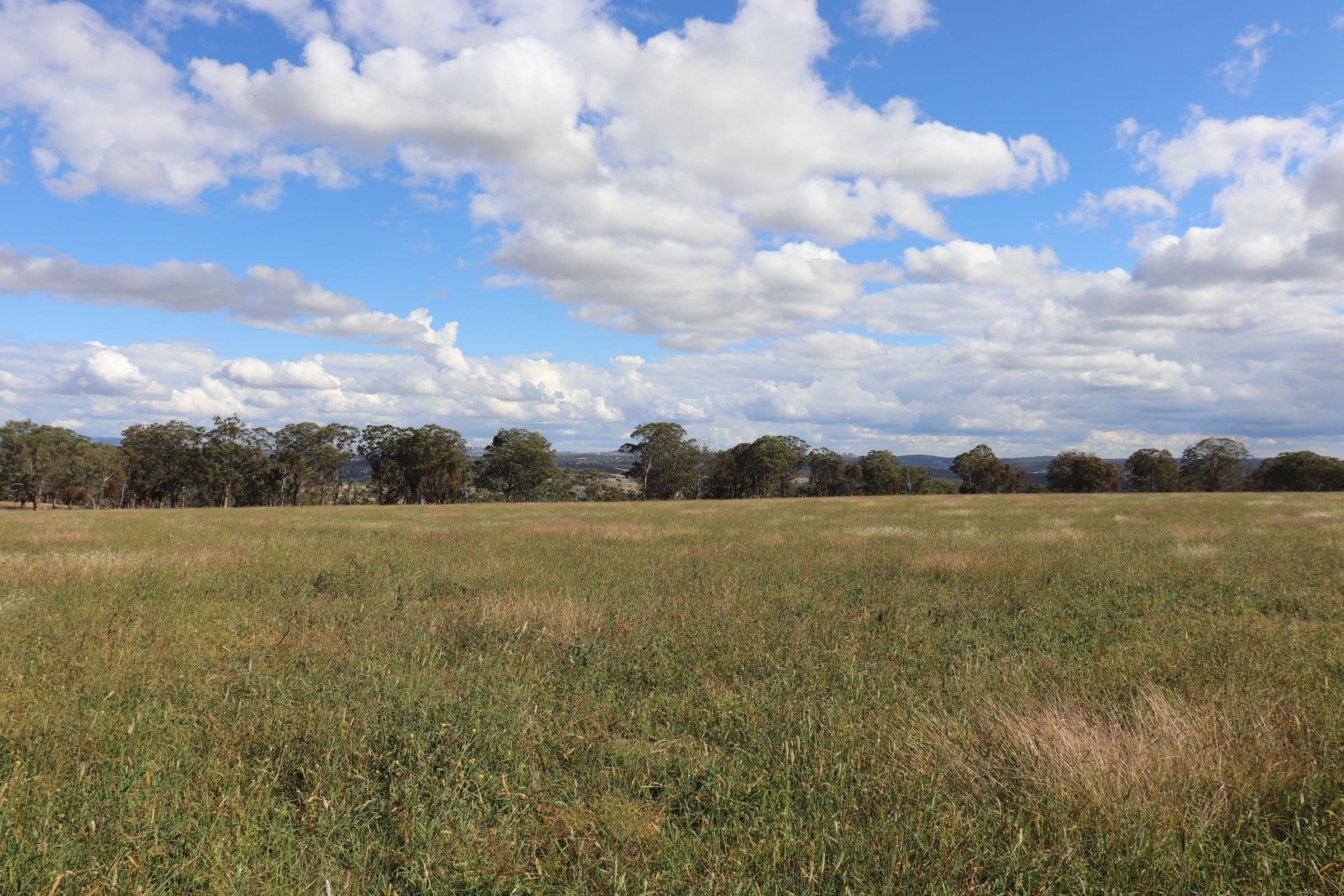 389 Oslo Road, Reddestone NSW 2370, Reddestone - Thumbnail 6