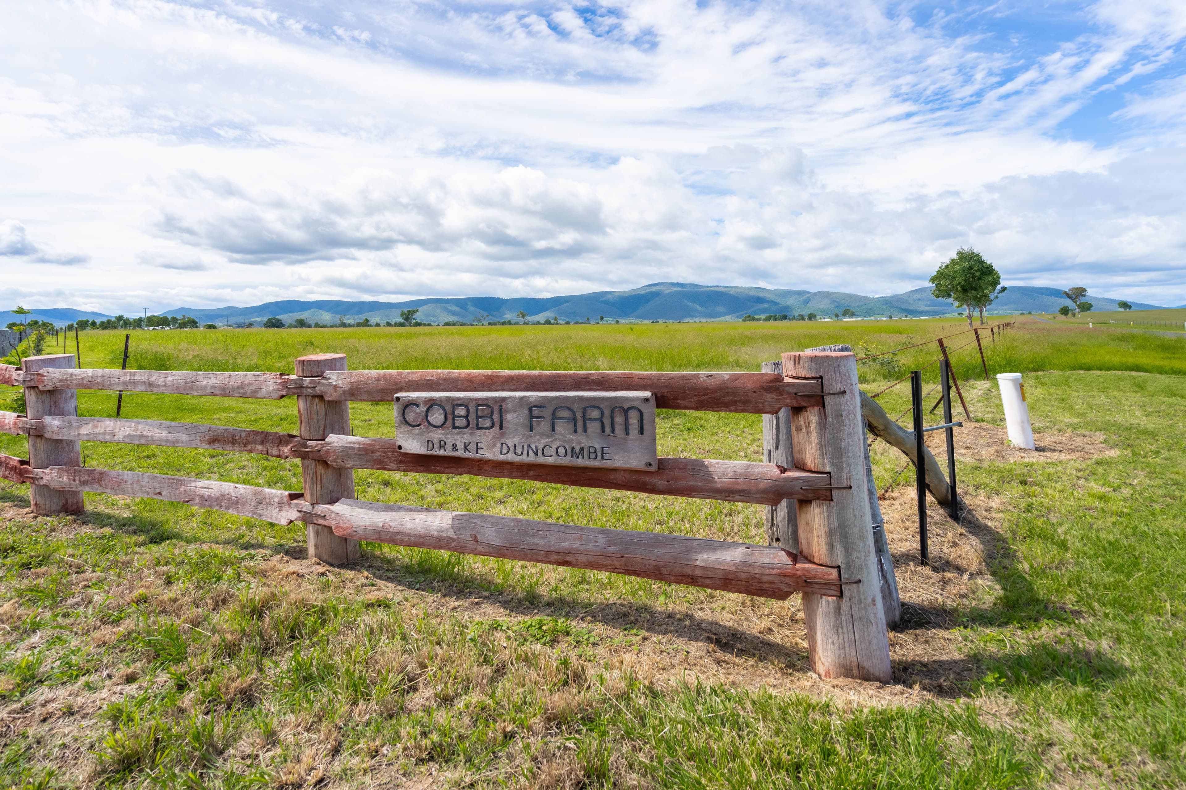 685 Cressbrook Caboonbah Road, Cressbrook QLD 4313, Cressbrook - Thumbnail 2