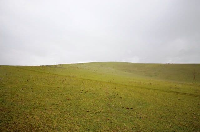 "Pfitzners" Range Road, Eudunda SA 5374, Eudunda - Thumbnail 2