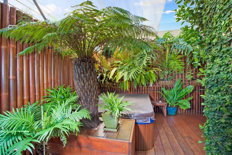 43B Albert Street, Freshwater NSW 2096, Freshwater - Thumbnail 5