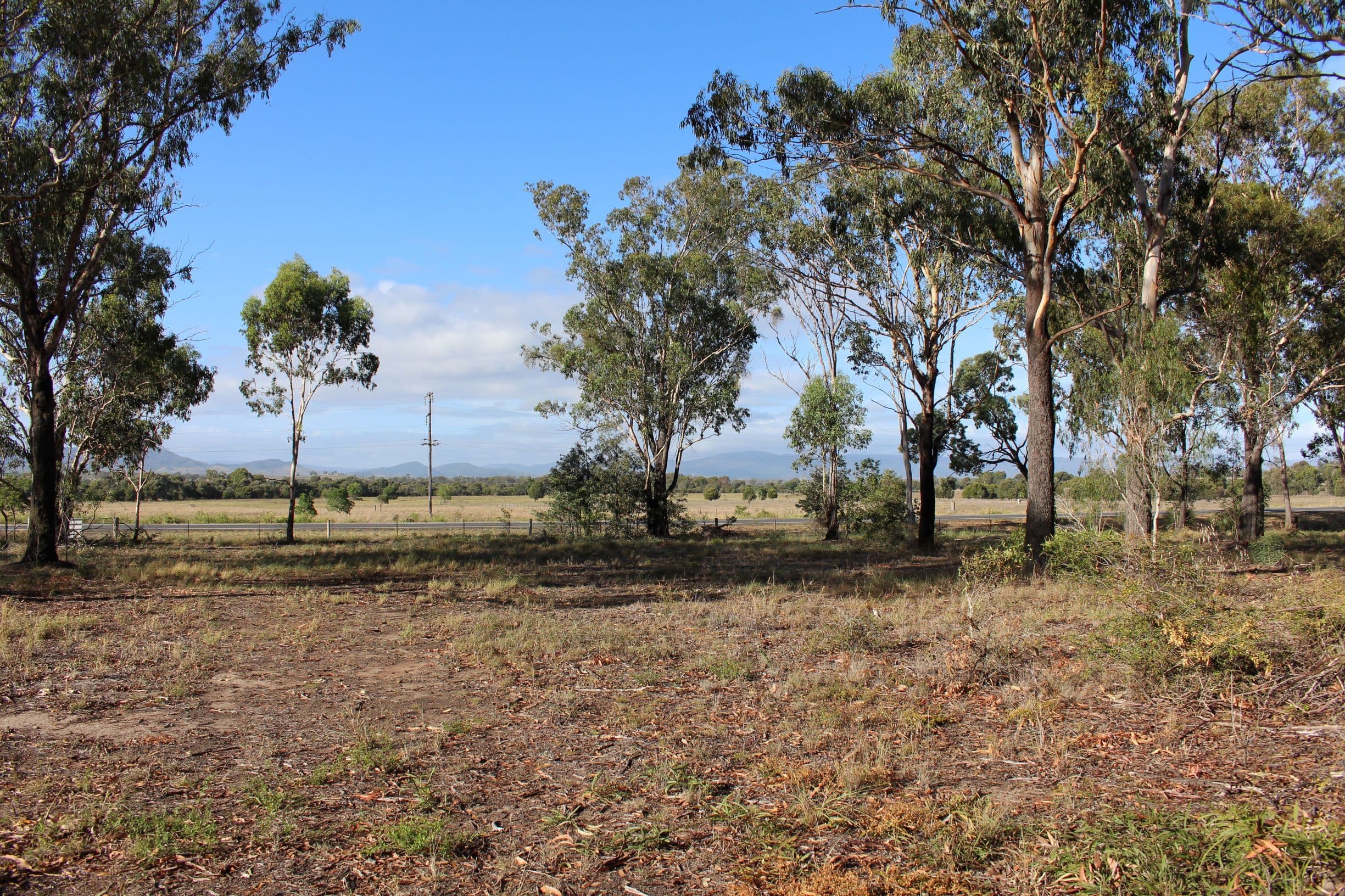 Lot 171 Bruce Highway, MARMOR QLD 4702, Marmor - Thumbnail 3