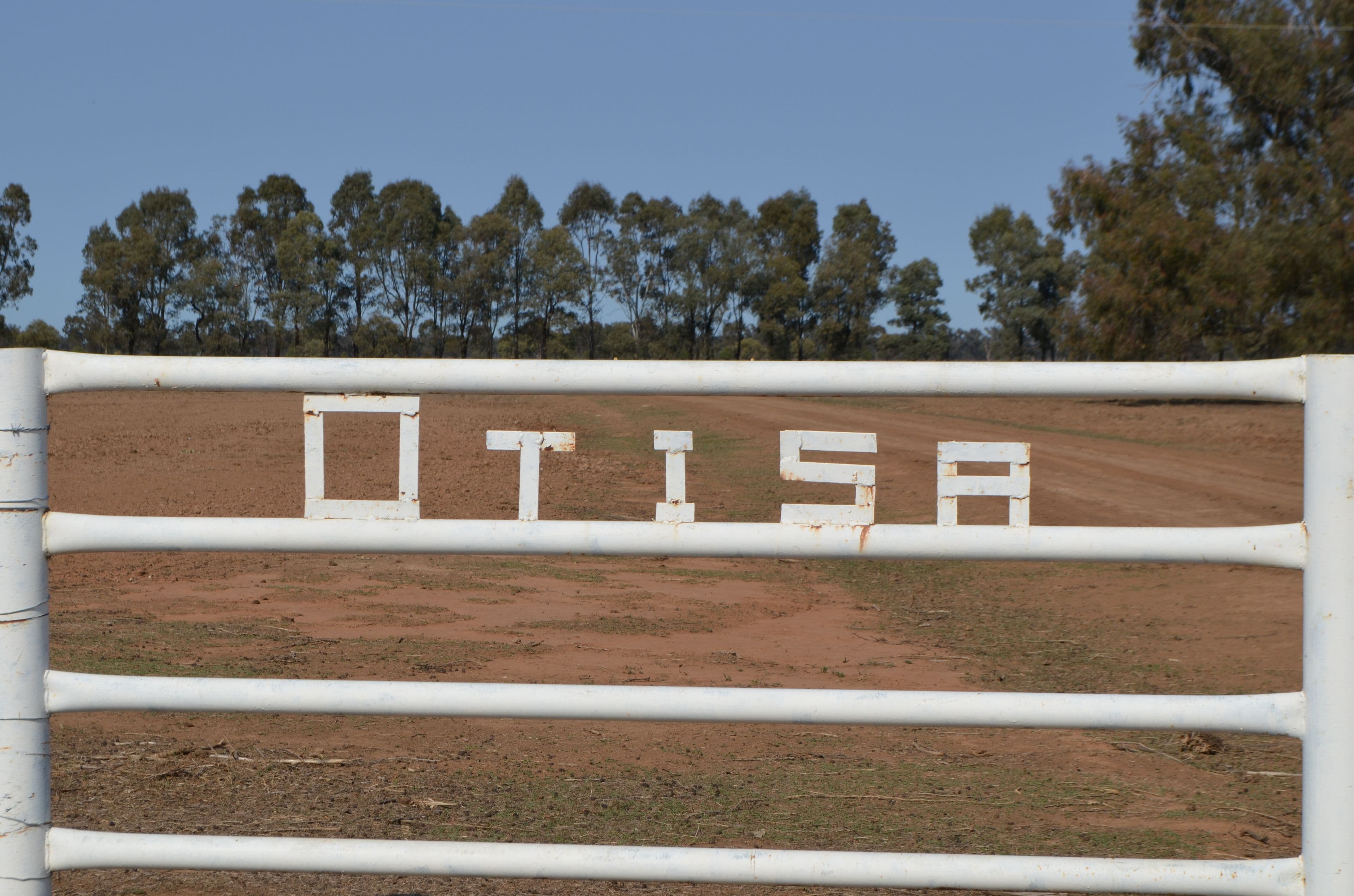 4005 Lachlan Valley Way - Otisa, Forbes NSW 2871, Forbes - Thumbnail 2