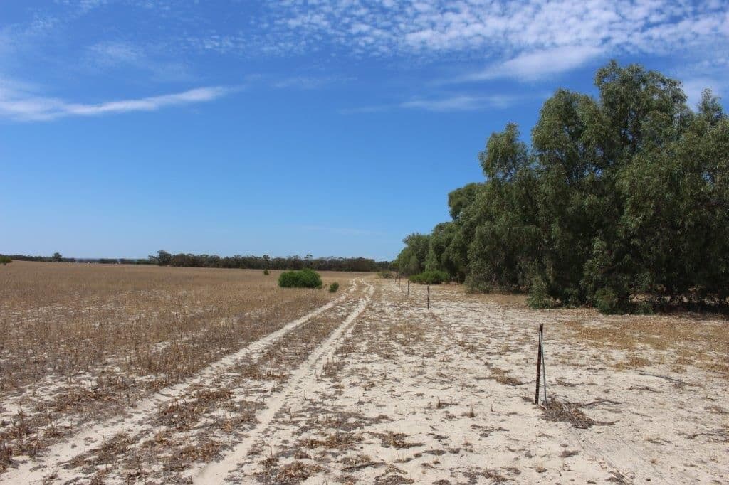 Lot M344 Mt Horner Road, Yardarino WA 6525, Yardarino - Thumbnail 2