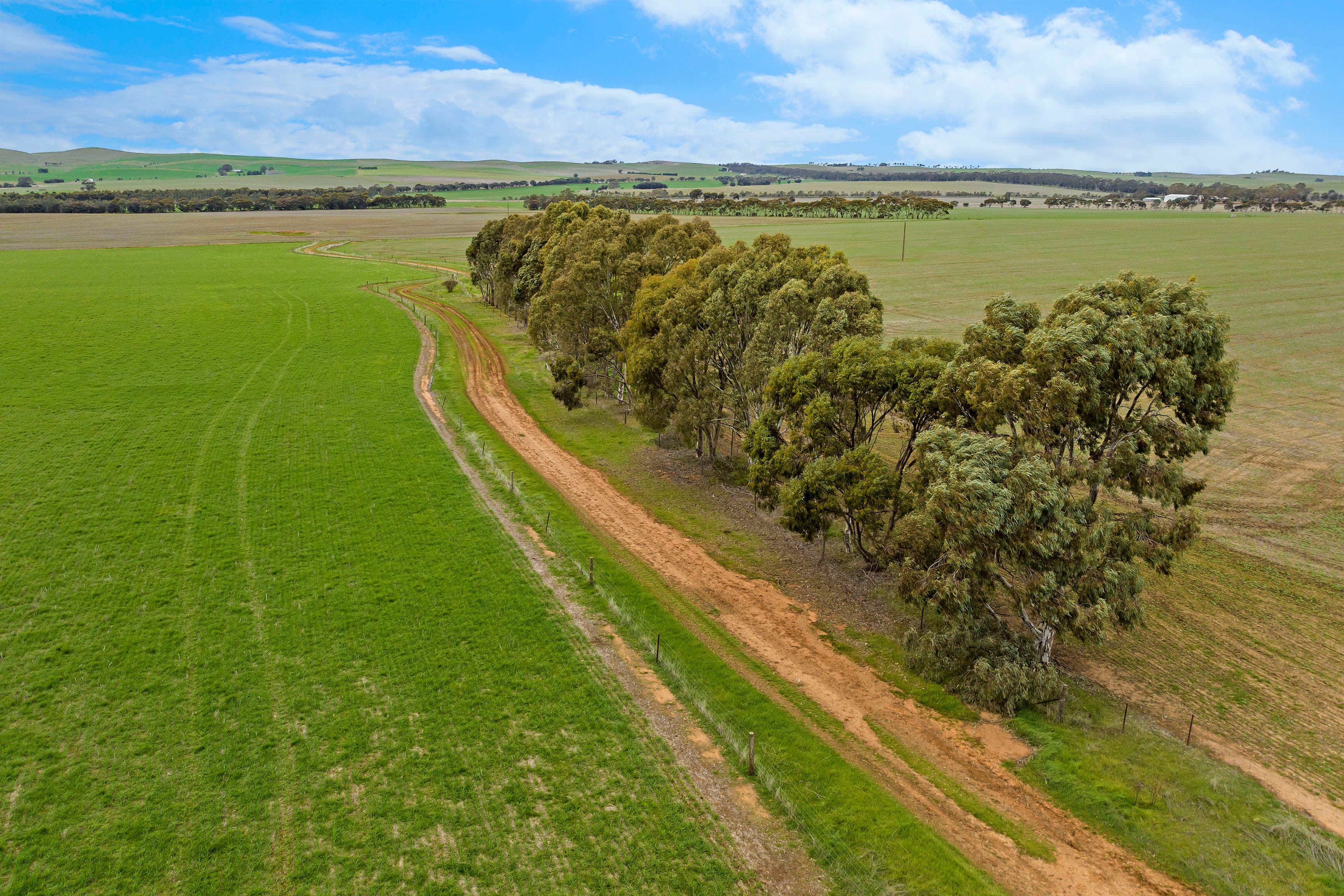 Lot 2 'East' 206 Lally Road, Hill River SA 5453, Hill River - Thumbnail 8