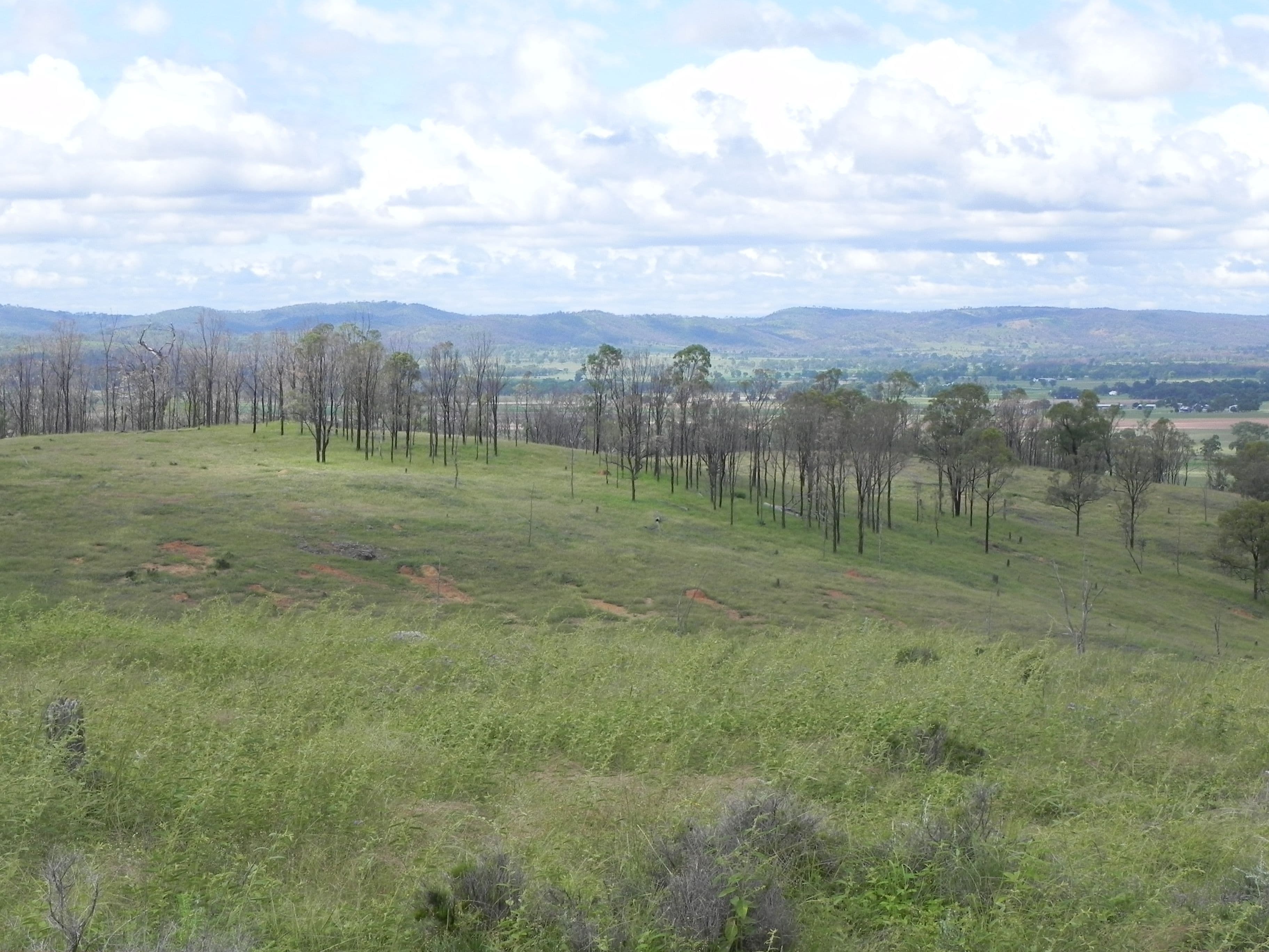 0 Cunningham Highway, Greymare QLD 4370, Greymare - Thumbnail 4