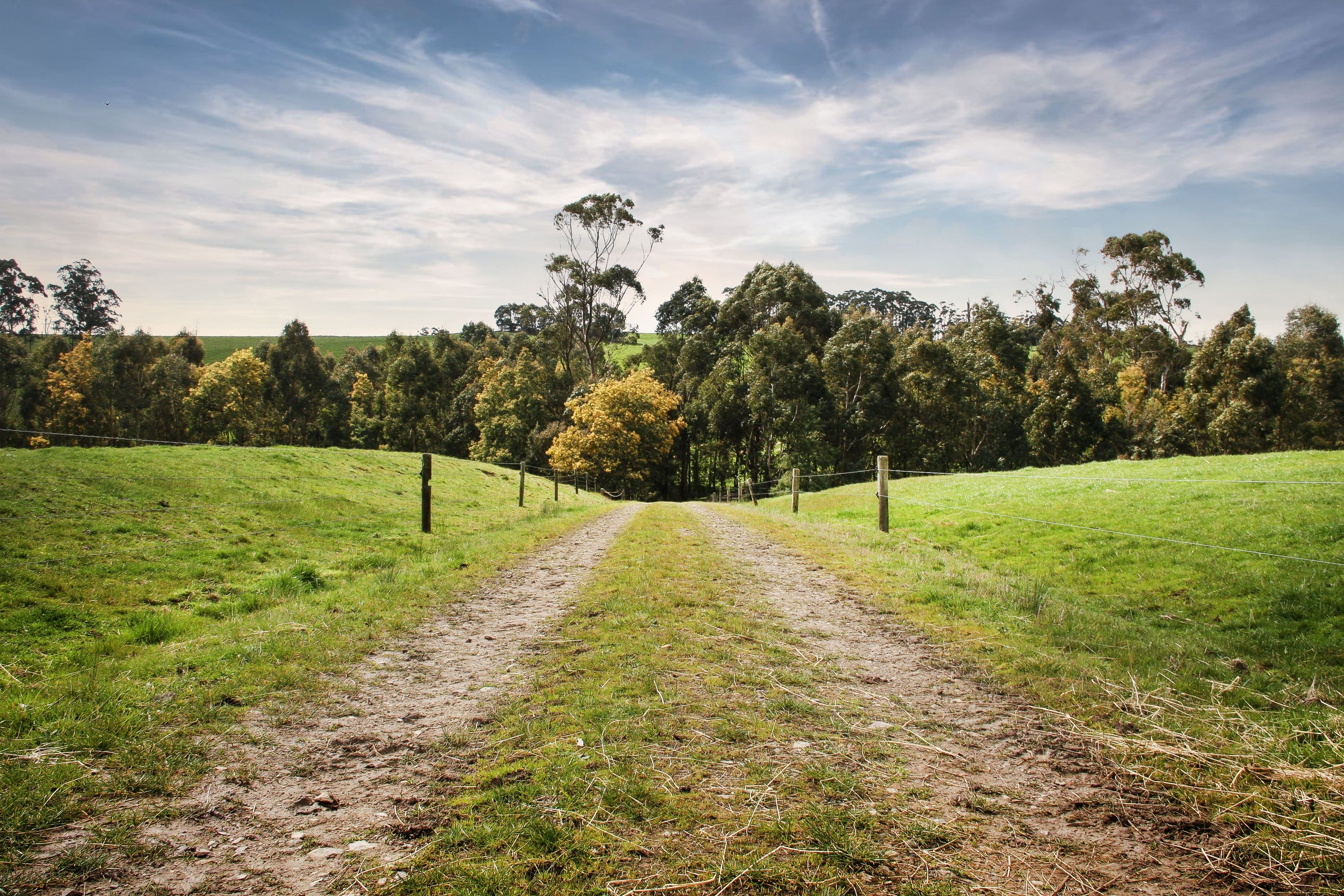 1815 Lardners Track, TORWOOD VIC 3821, Torwood - Thumbnail 3