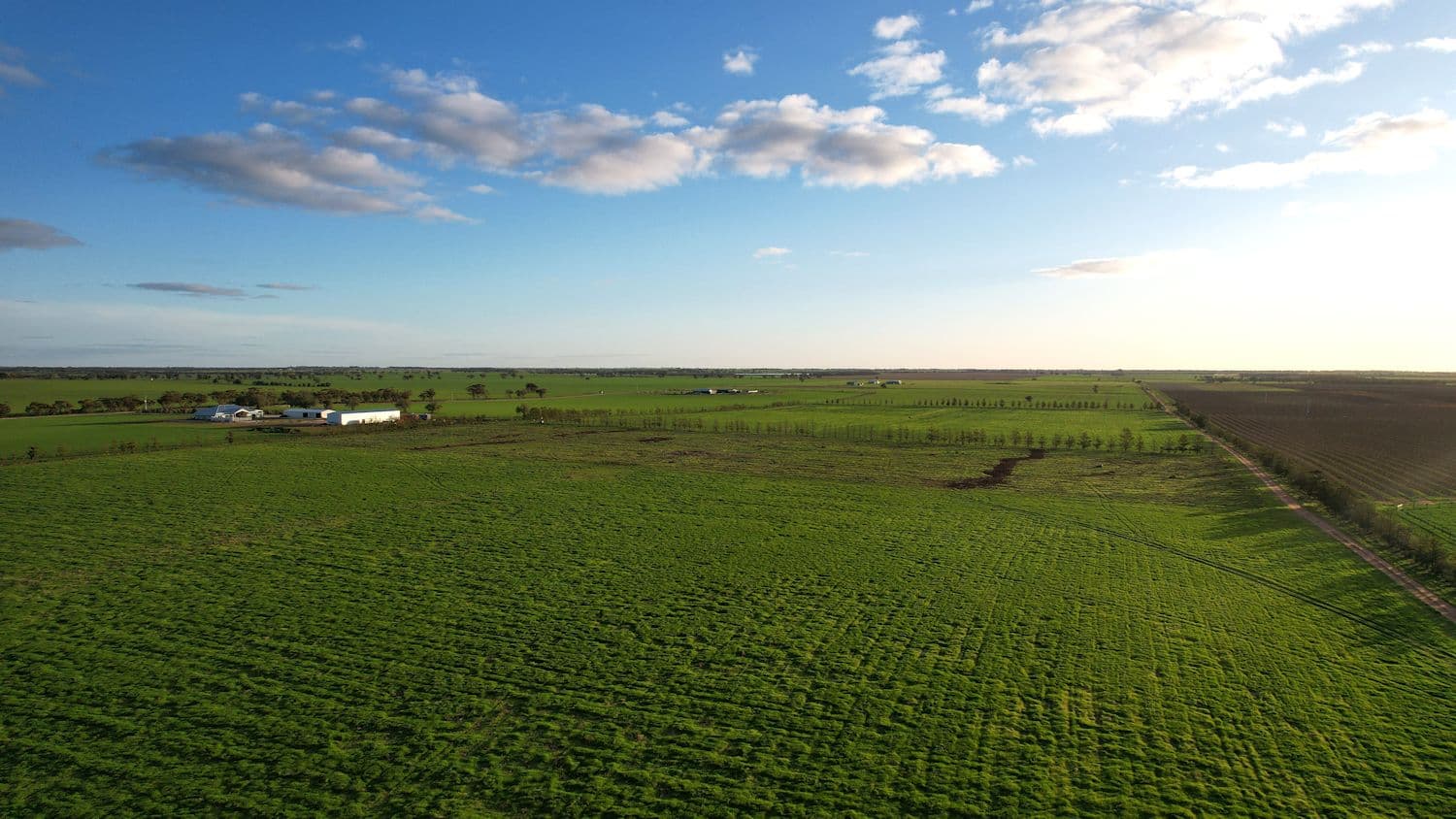 345 Woorinen Road, Swan Hill VIC 3585, Swan Hill - Thumbnail 6