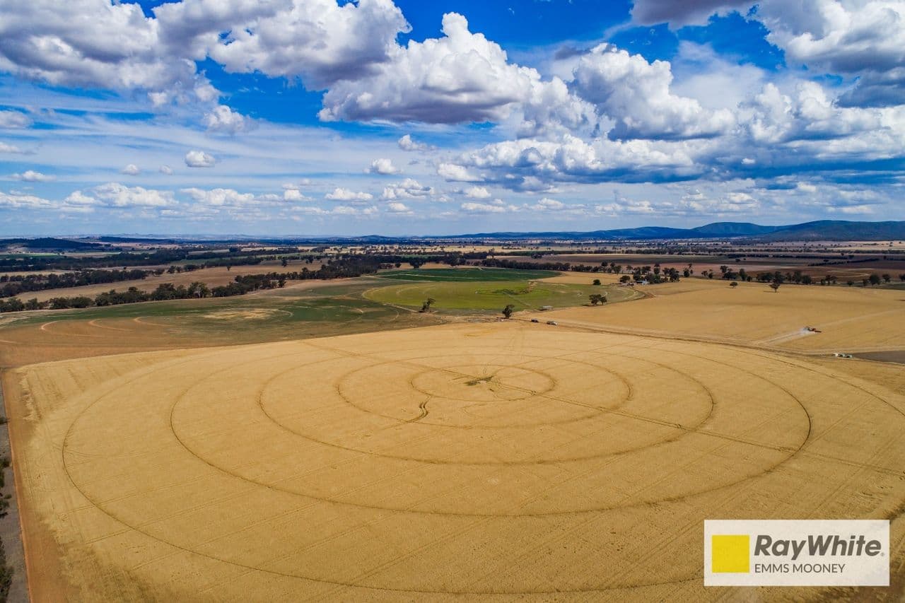 130 McInnis Lane, Gooloogong NSW 2805, Gooloogong - Thumbnail 2