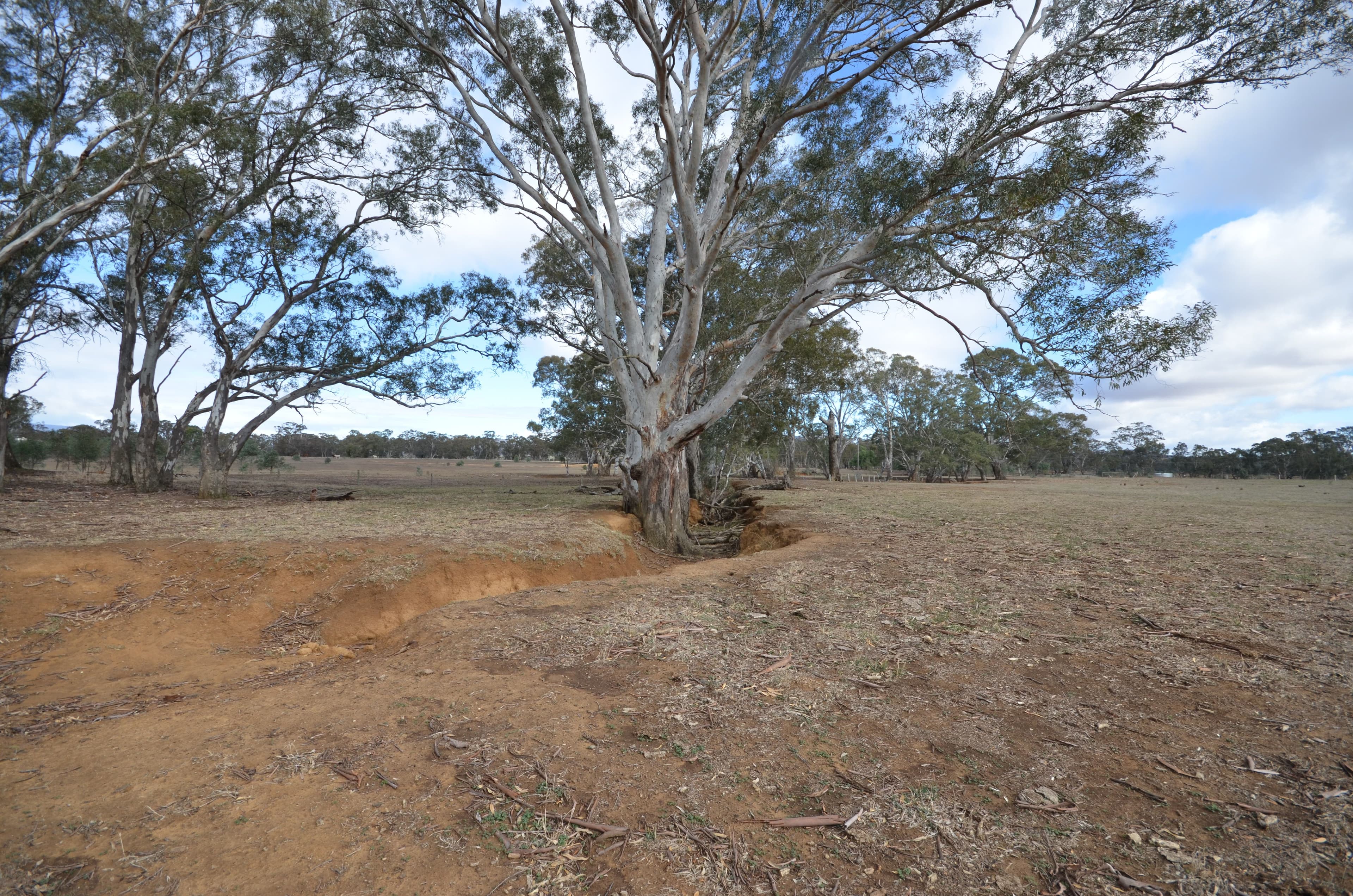 CA A8A Marland Road, Barkly VIC 3384, Barkly - Thumbnail 7