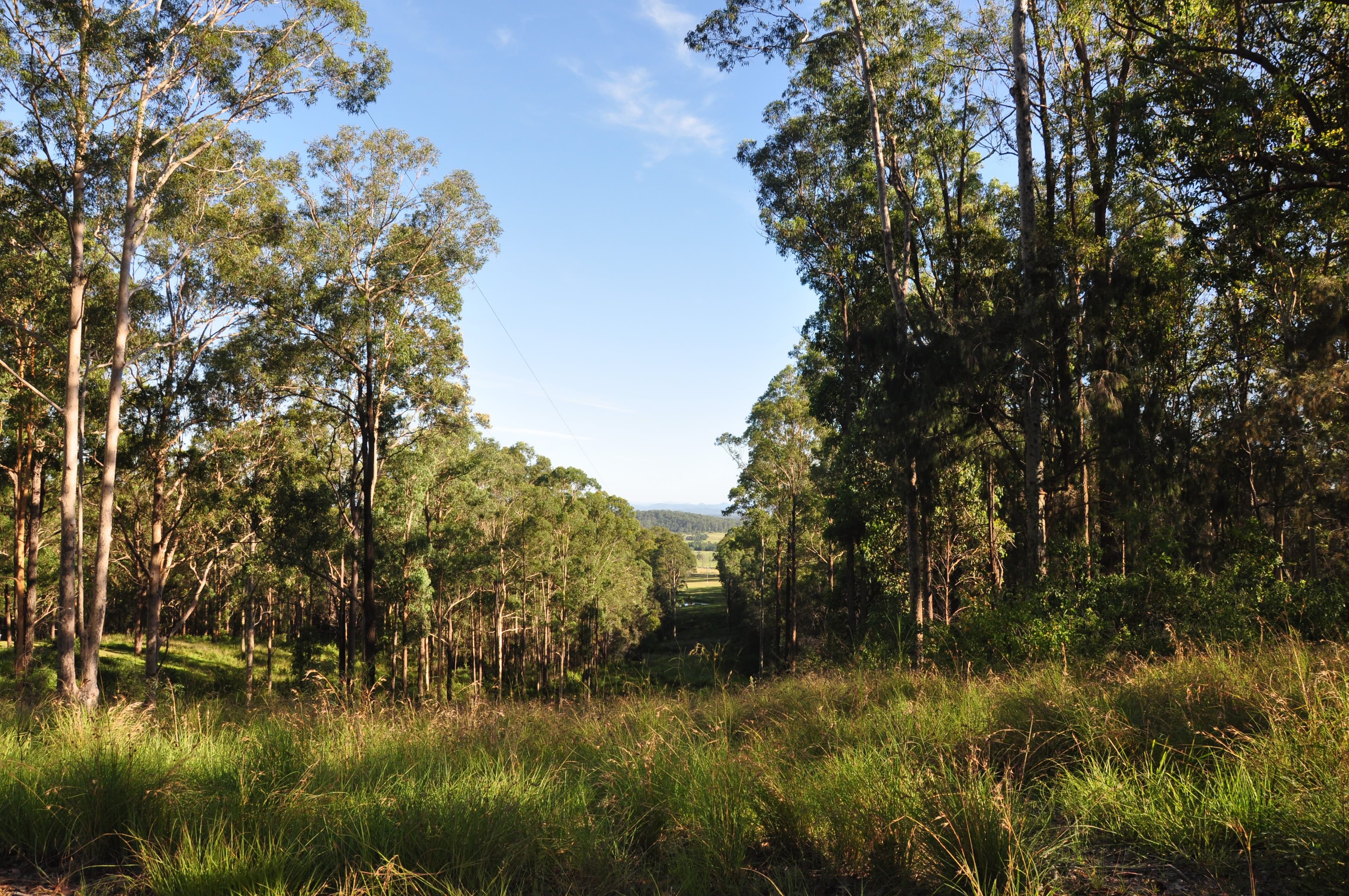 718 Pipers Creek Road, Dondingalong NSW 2440, Dondingalong - Image 1