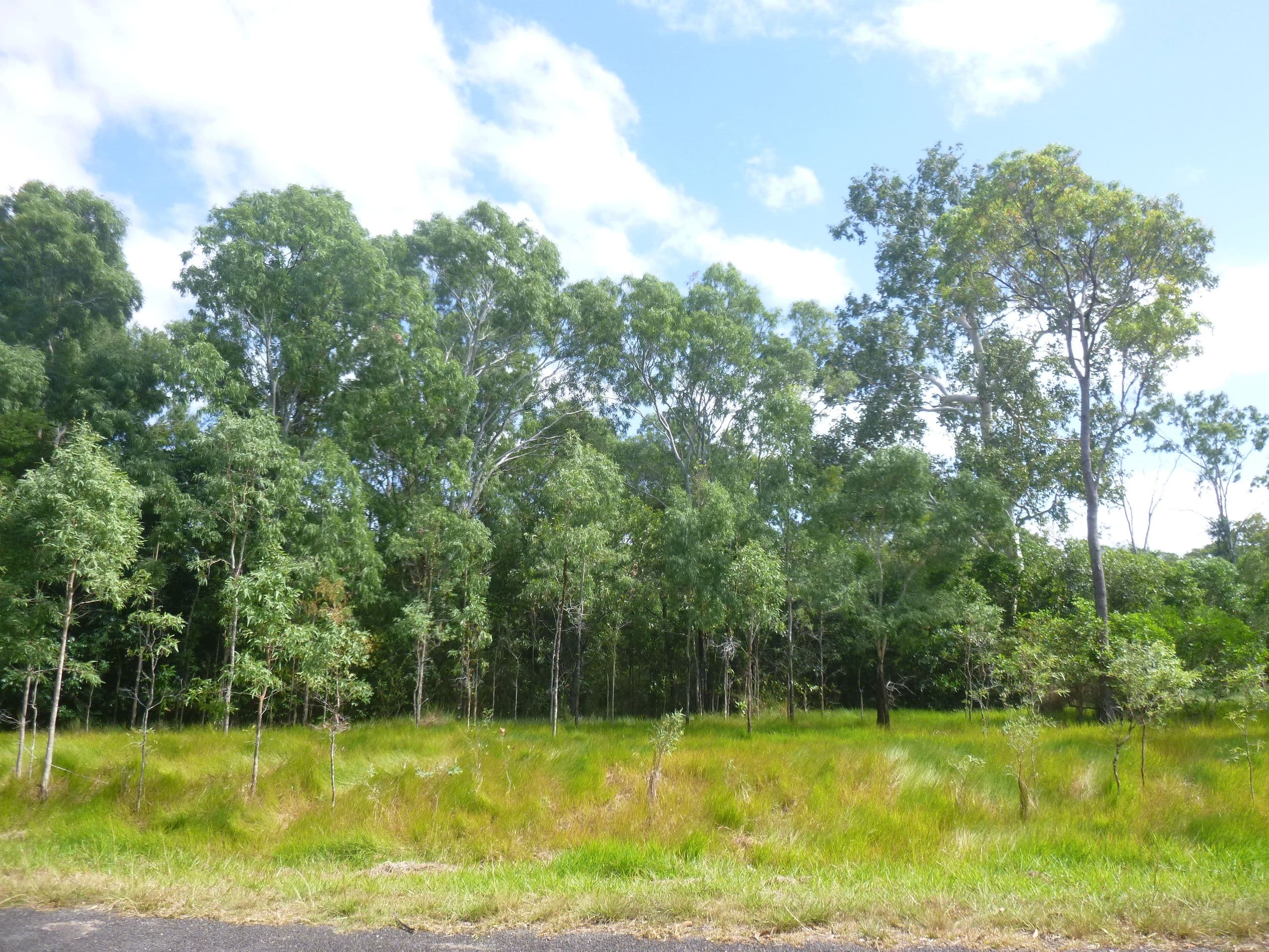 29 Slaughter Yard Road, Cooktown QLD 4895, Cooktown - Thumbnail 8