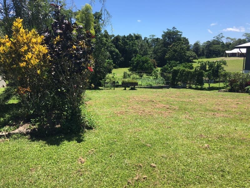 16 Moretto Street, Babinda QLD 4861, Babinda - Thumbnail 6