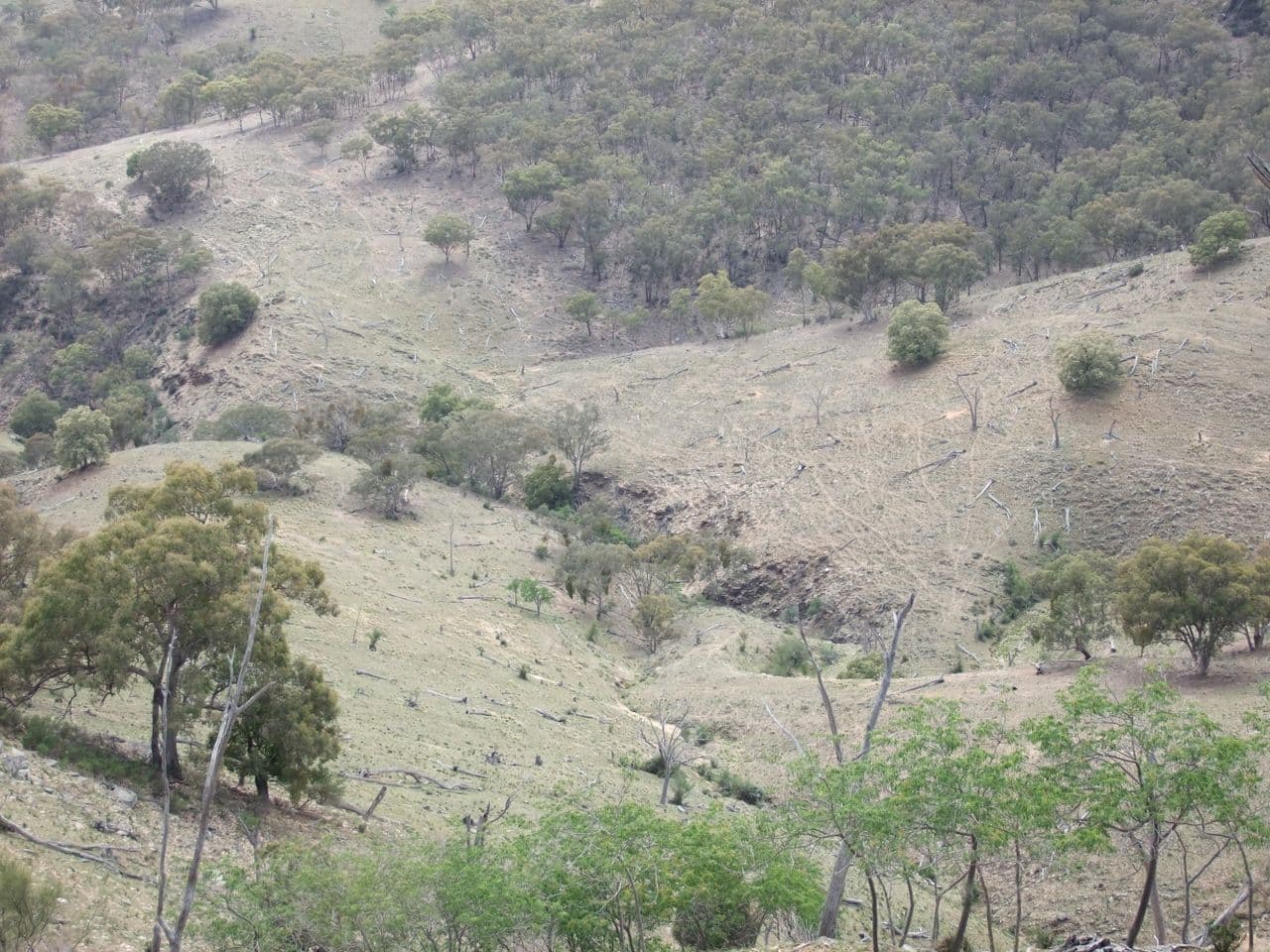 212 Quartz Ride Road, Turondale NSW 2795, Turondale - Thumbnail 7