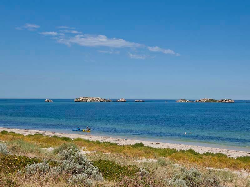 36a Second Avenue, Shoalwater WA 6169, Shoalwater - Thumbnail 3