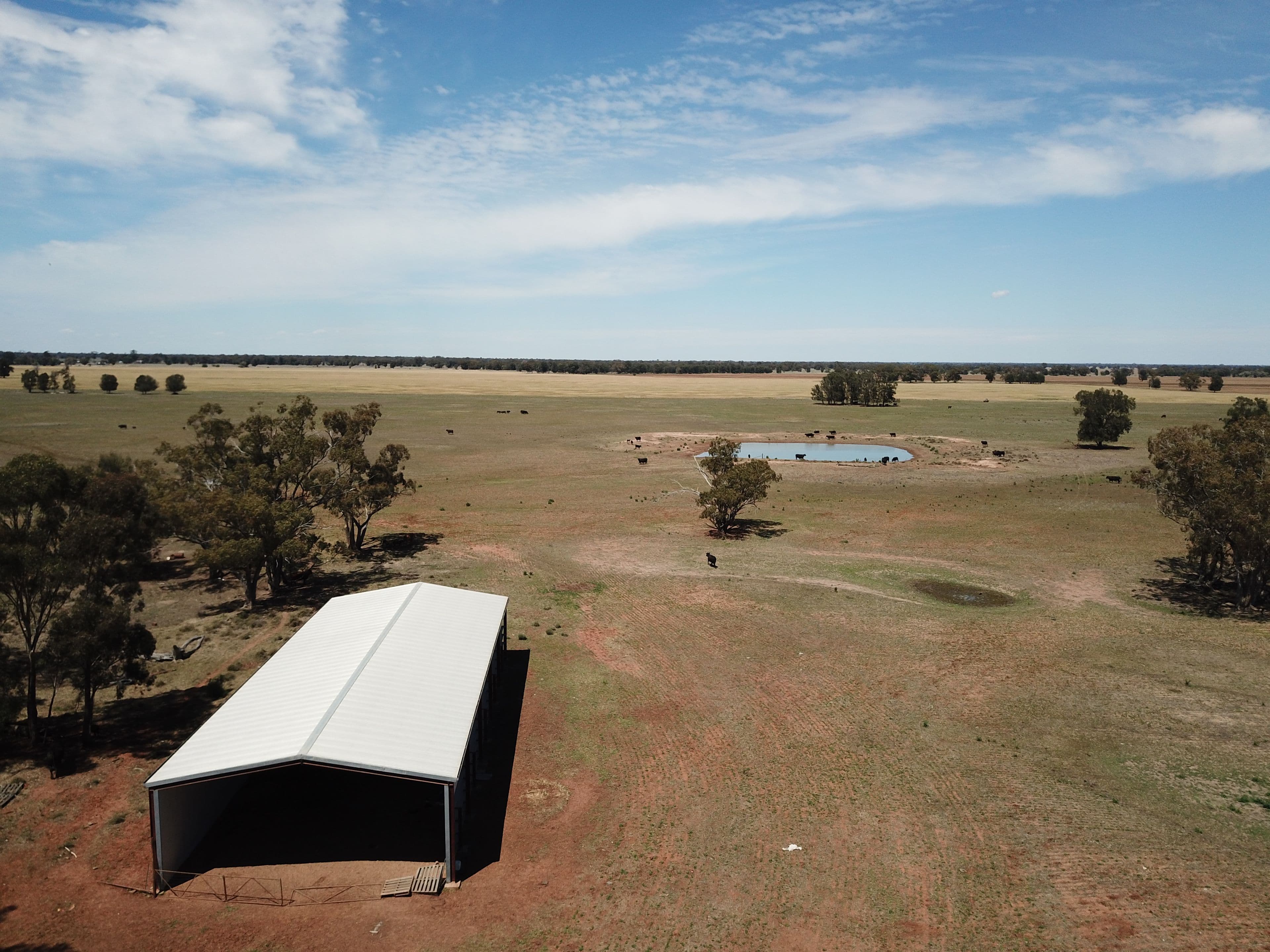 'Glengarry' Wyanga Road, Narromine NSW 2821, Narromine - Thumbnail 2