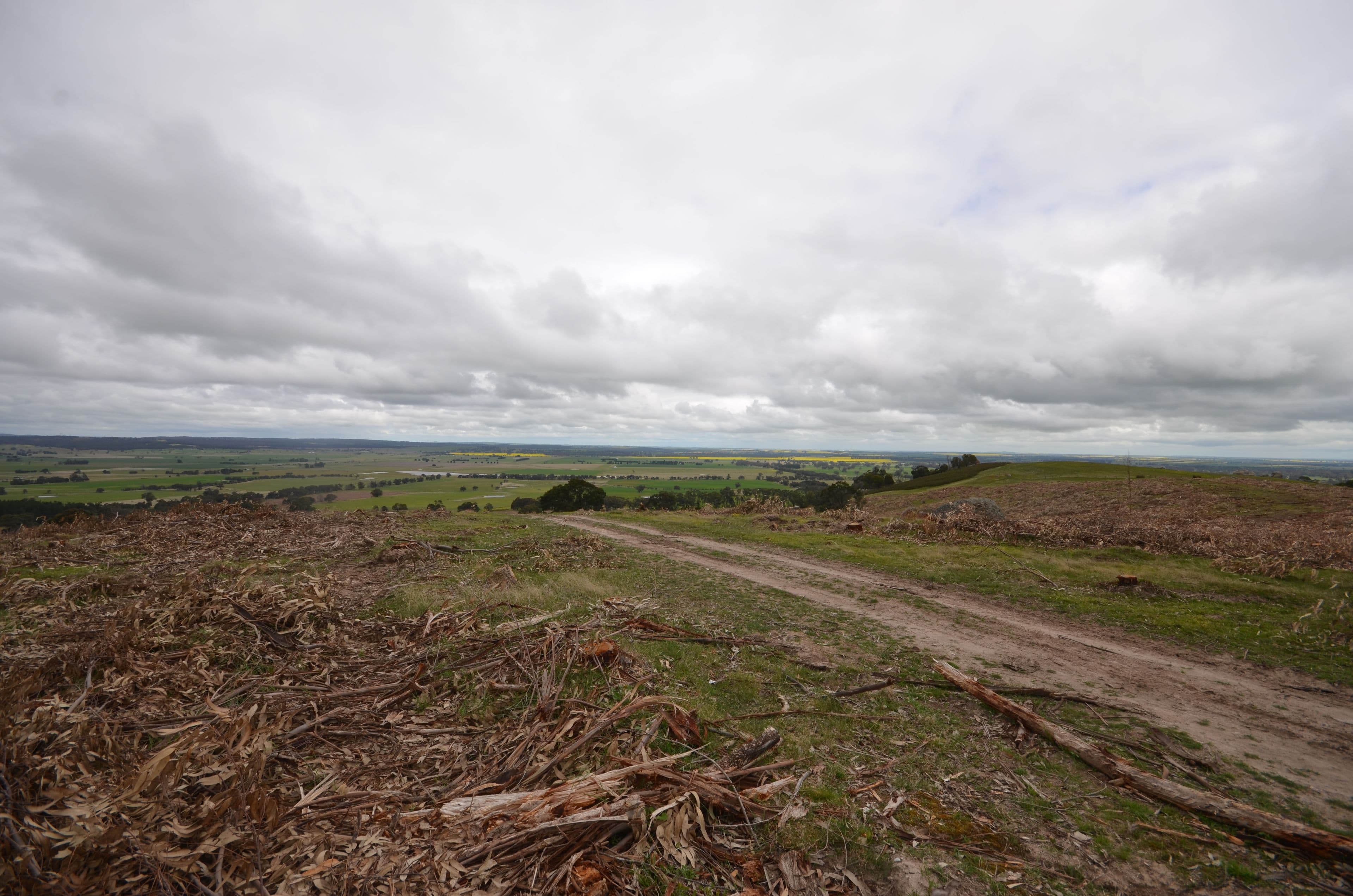 'Tiley' Tip Road, RAGLAN VIC 3373, Raglan - Thumbnail 5
