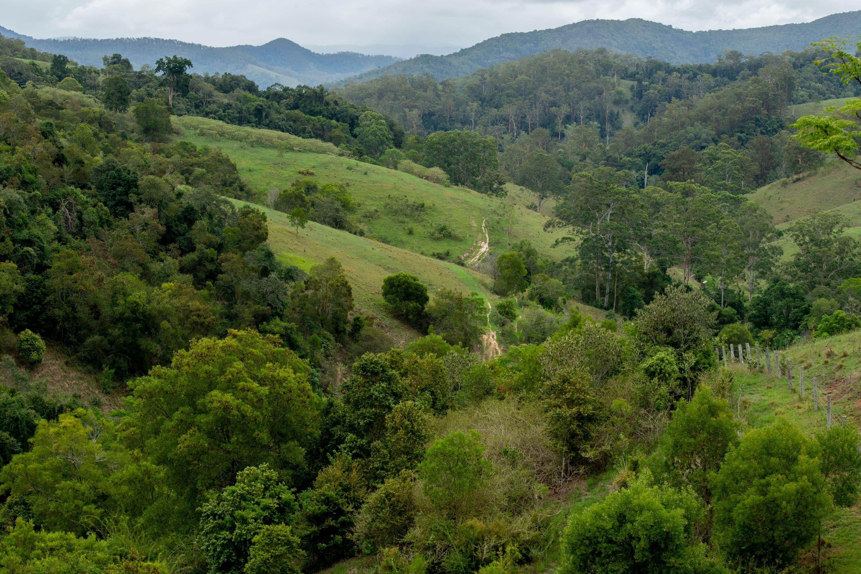 888 Innes View Road, Comboyne NSW 2429, Comboyne - Thumbnail 4