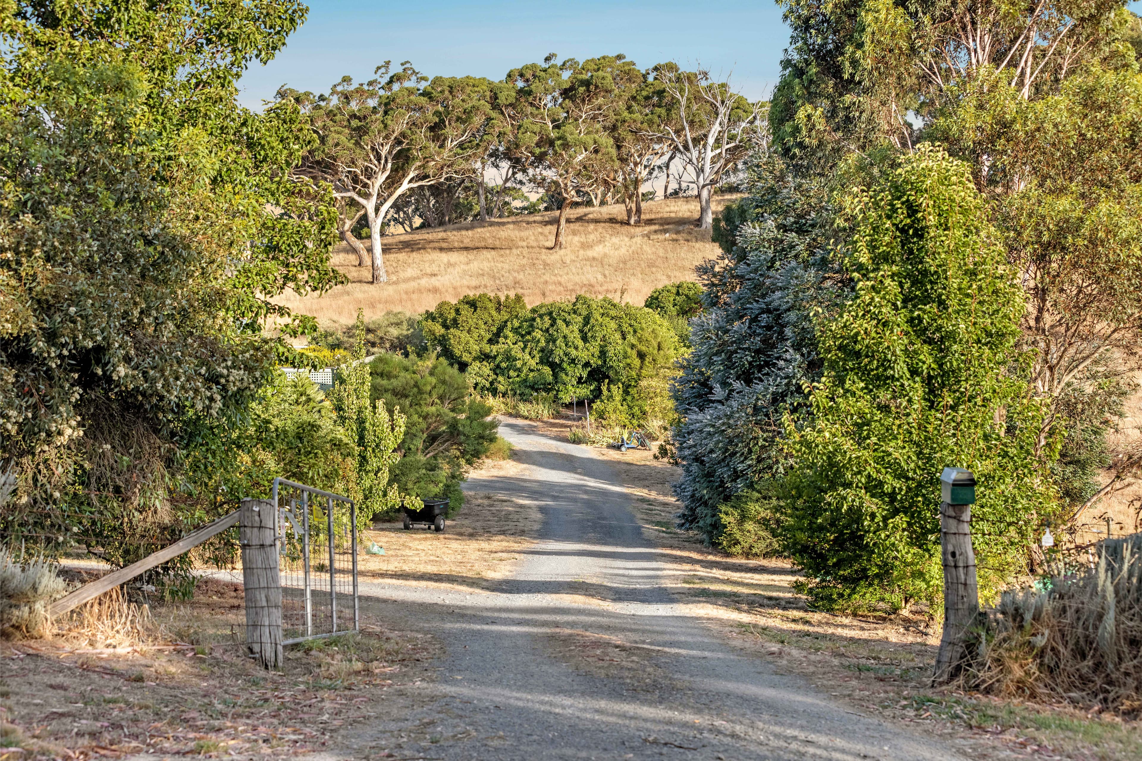 90 Totness Road, Totness SA 5250, Totness - Thumbnail 2