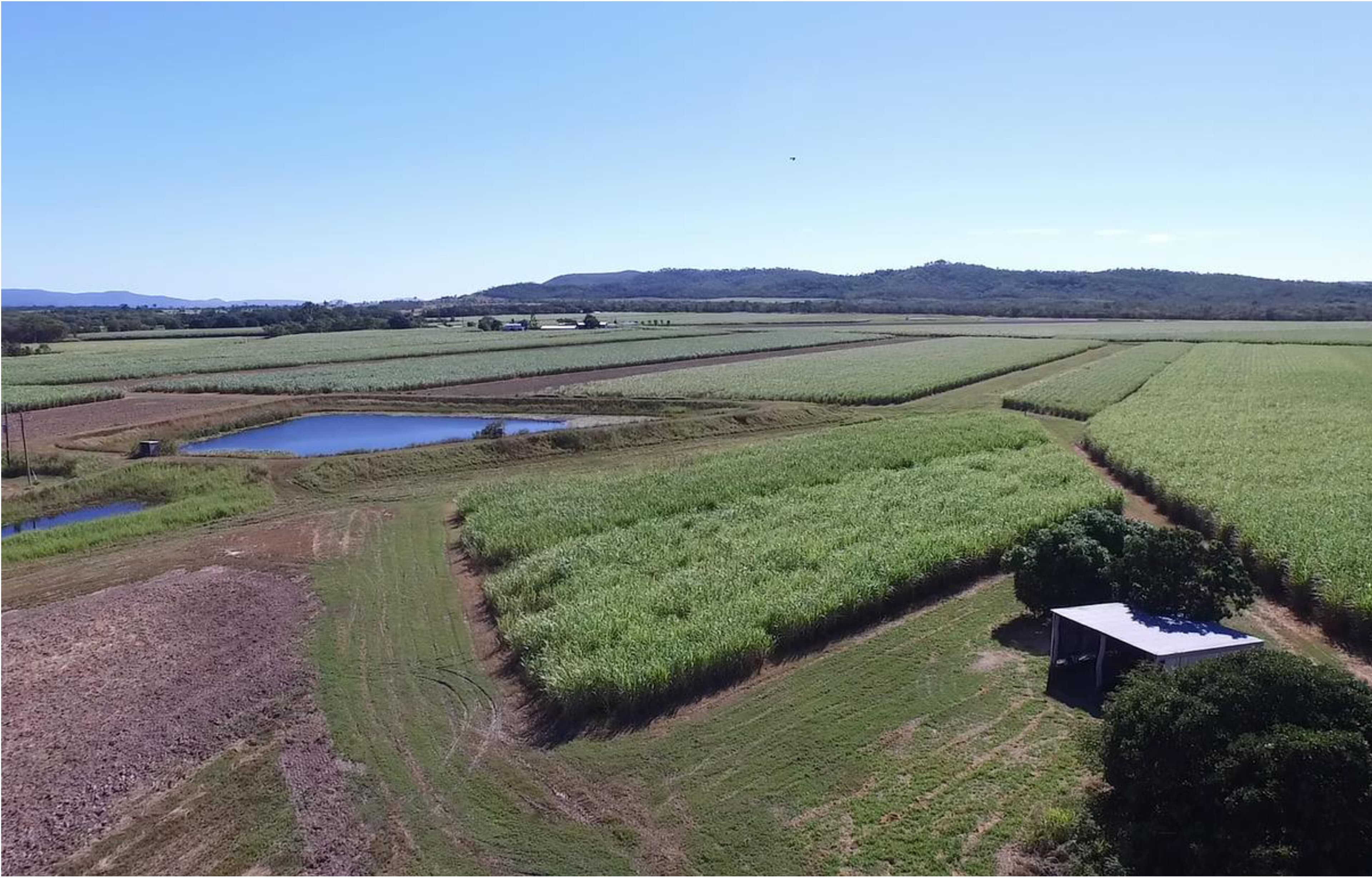 80 Cone Creek Road, Koumala QLD 4738, Koumala - Image 1