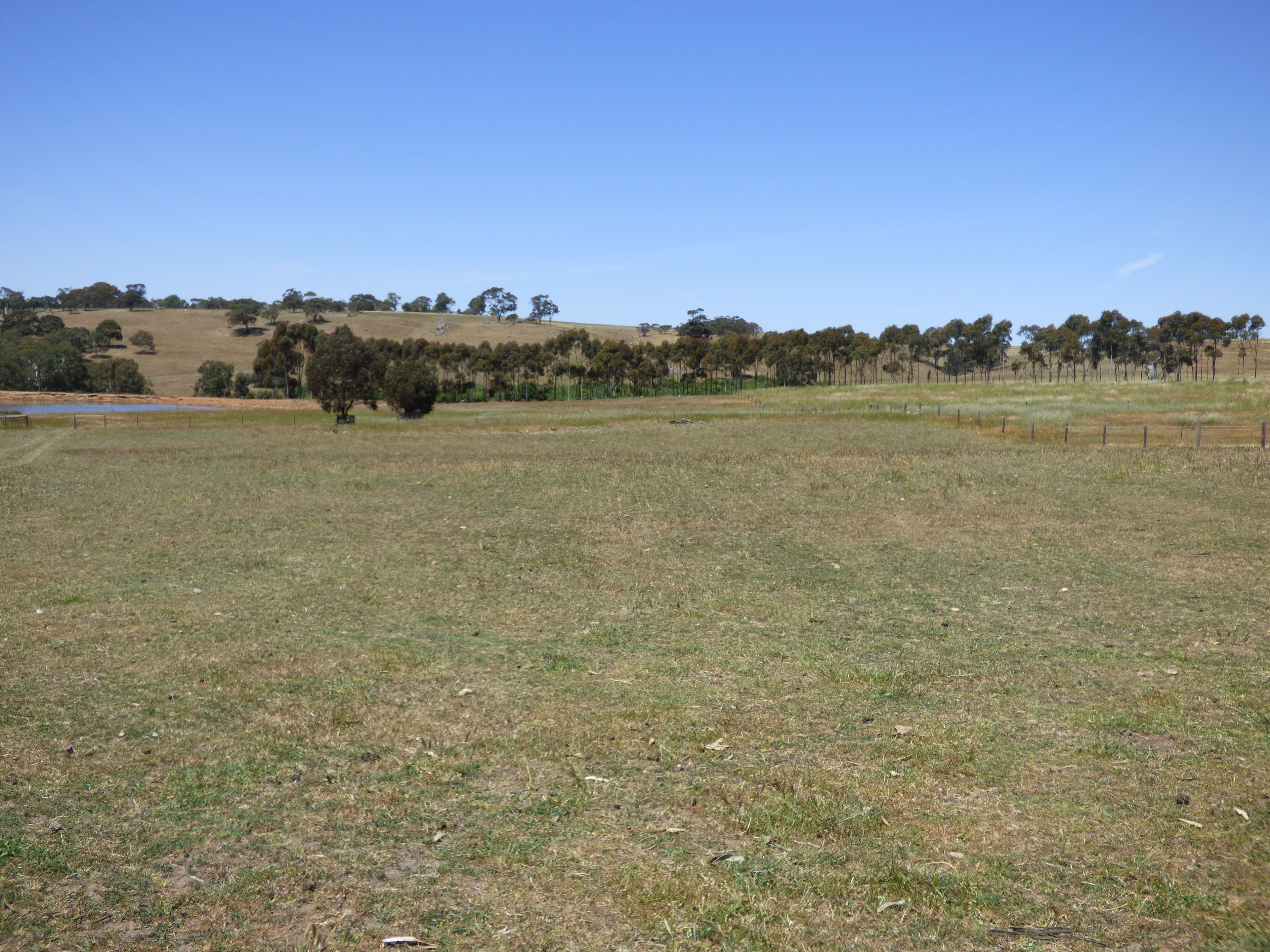 Lot 3 Klenke Road, Wistow SA 5251, Wistow - Thumbnail 3