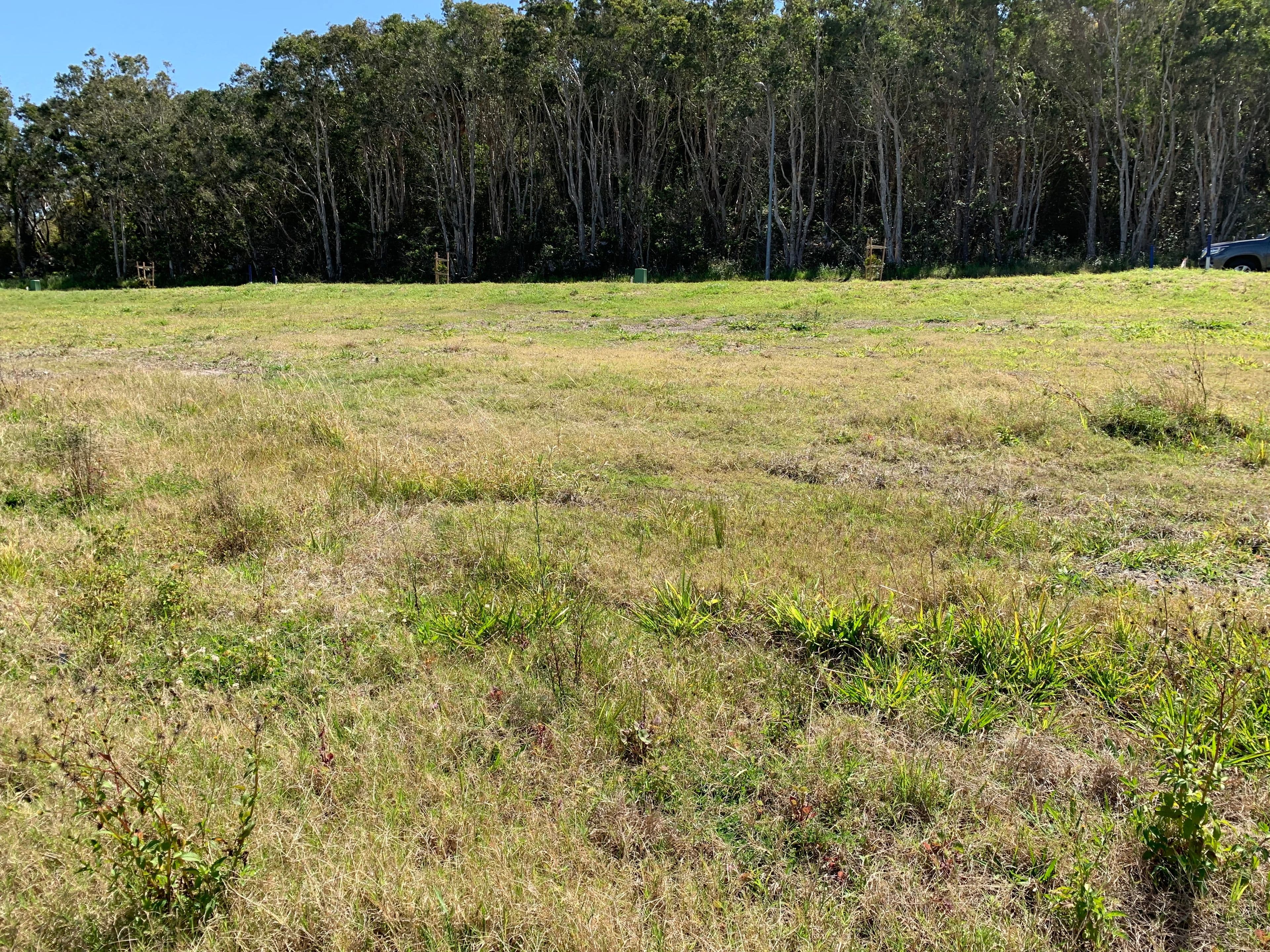 19 Elluisa Close, Forster NSW 2428, Forster - Thumbnail 3