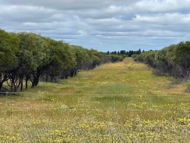 Swithenbank A 384 Stones Road, Quairading WA 6383, Quairading - Image 1