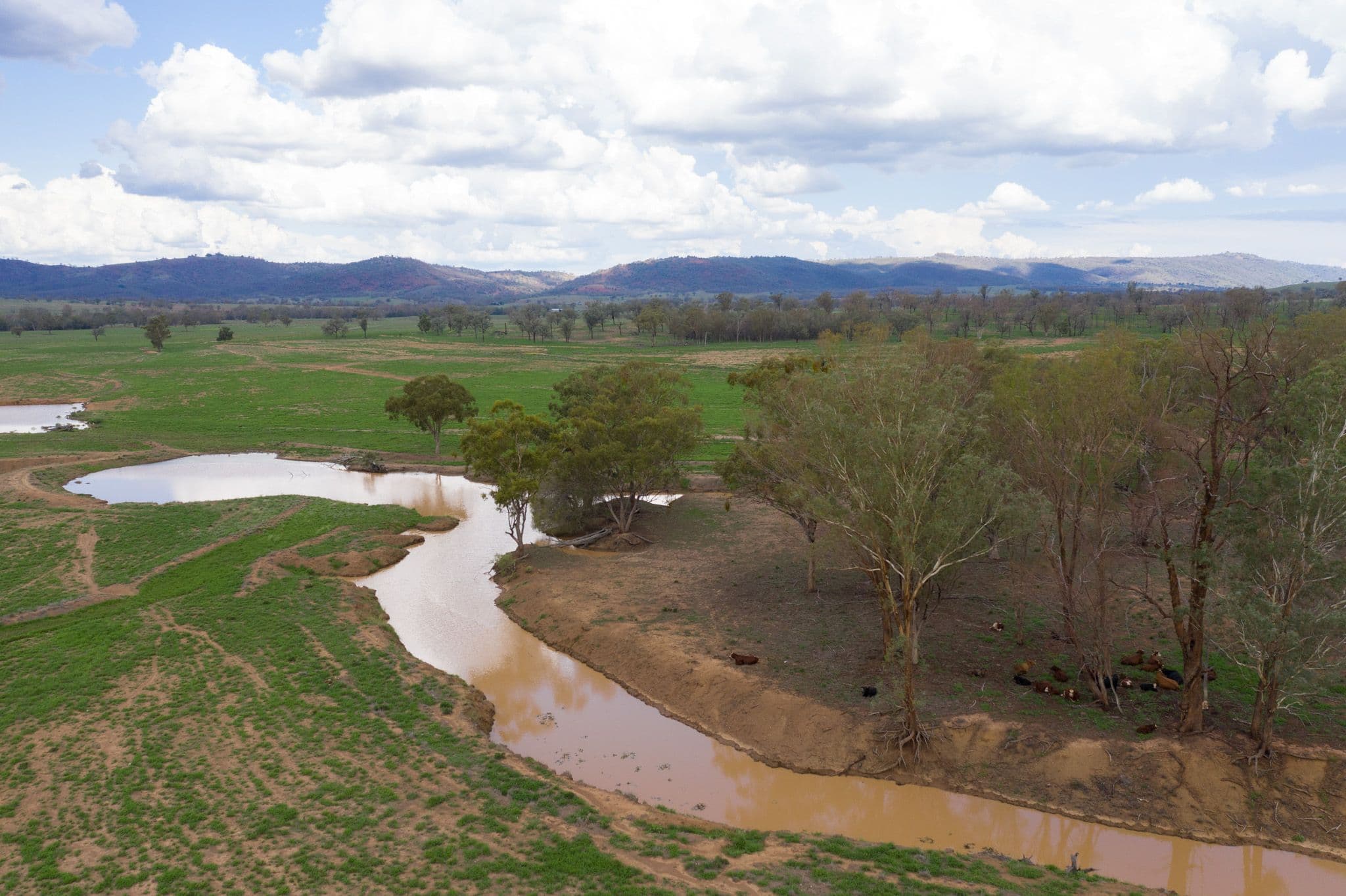 8321 Killarney Gap Road, Pallal NSW 2404, Pallal - Image 1