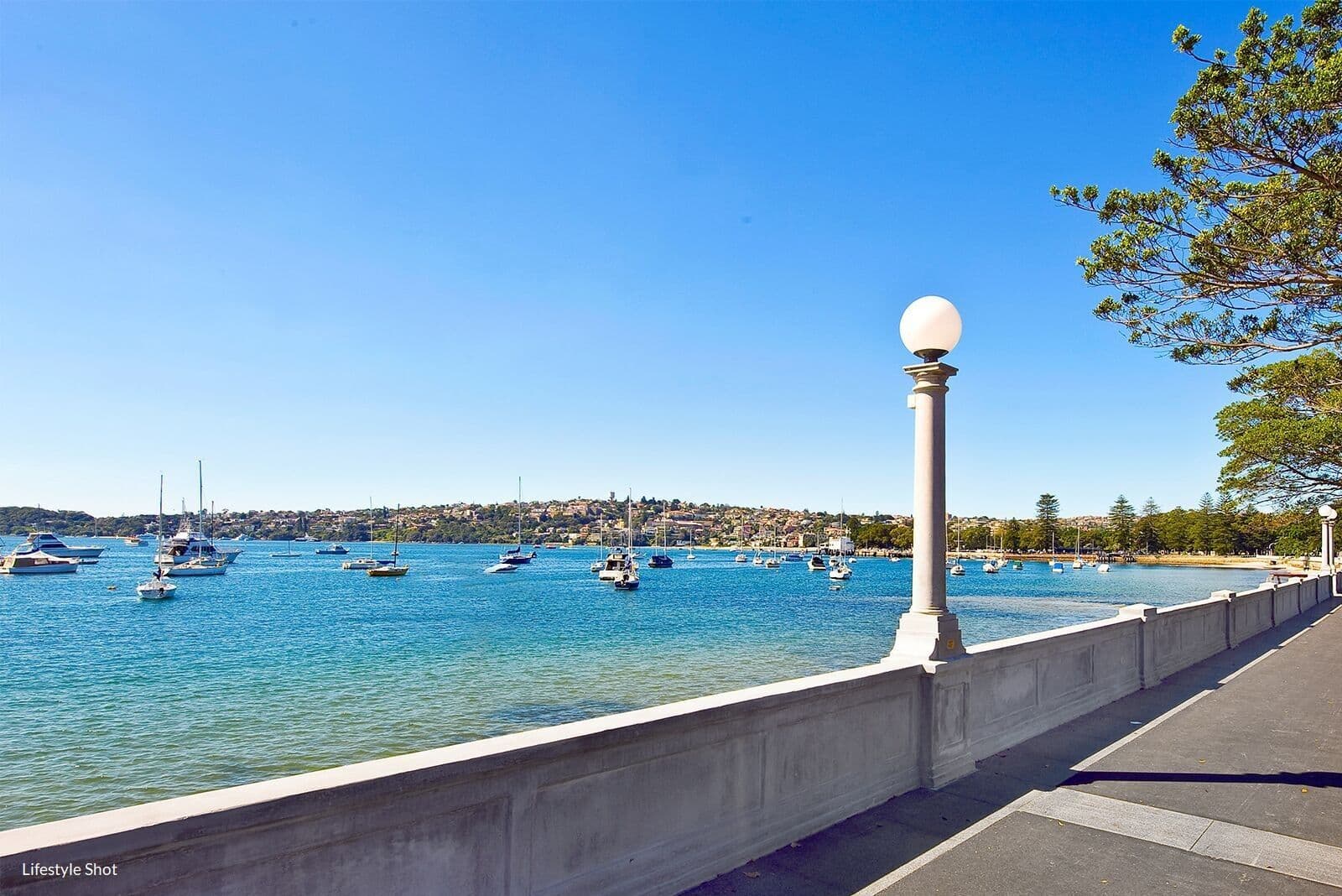 1 Plumer Road, Rose Bay NSW 2029, Rose Bay - Thumbnail 6