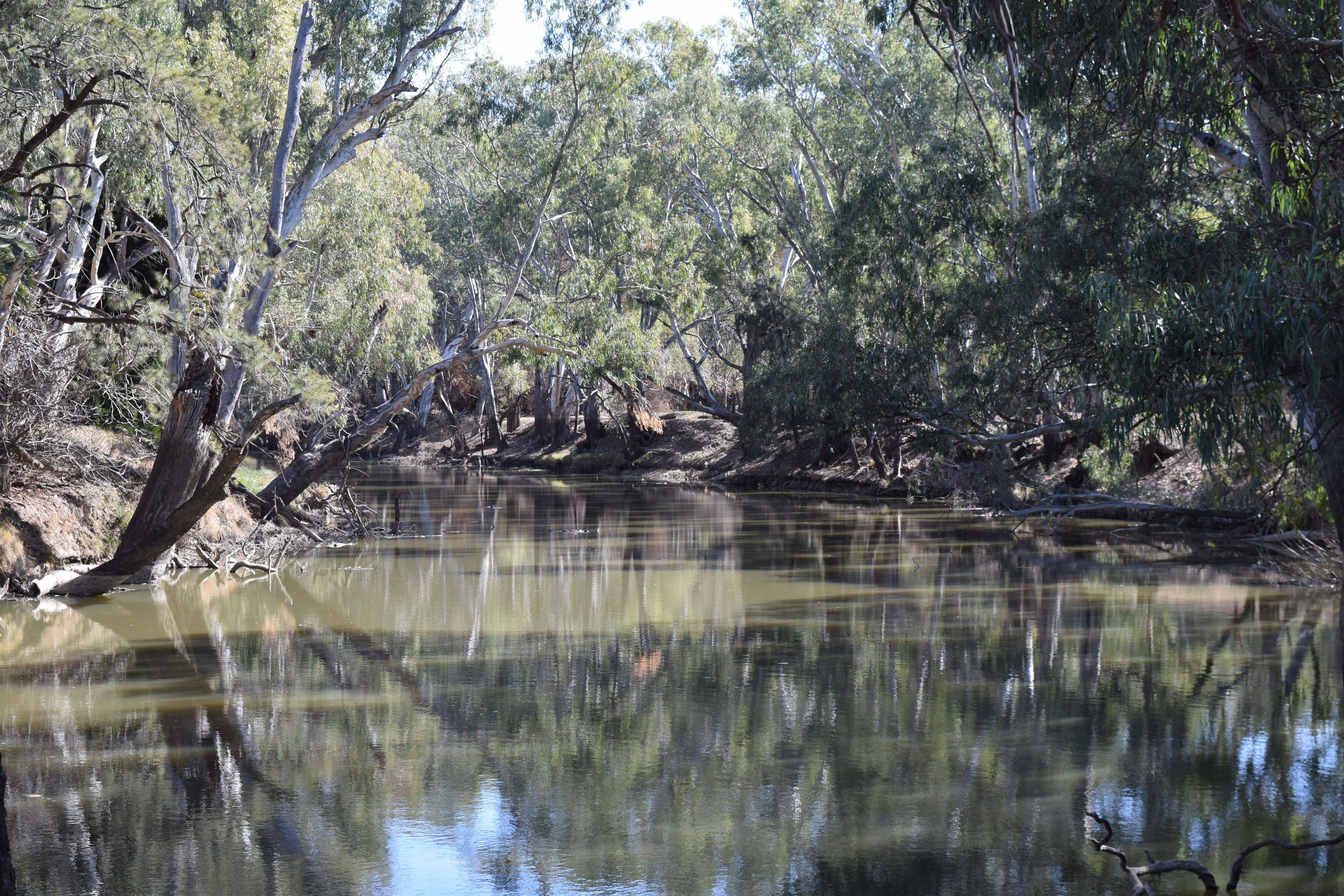 43 Wilmar Lane - Old Grudgery, Forbes NSW 2871, Forbes - Thumbnail 3