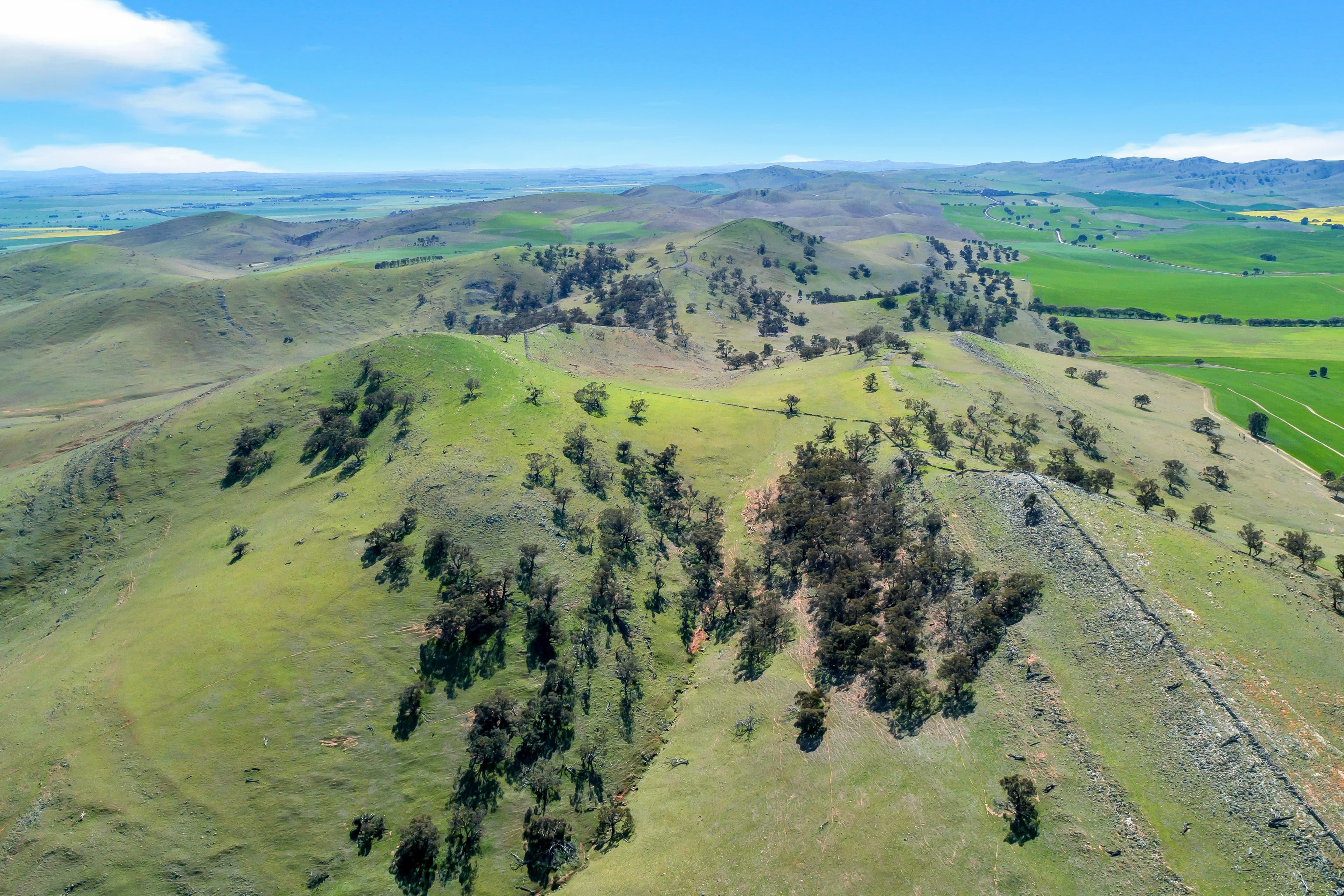 Mt Watts Bowmans Road, Gulnare SA 5471, Gulnare - Thumbnail 8