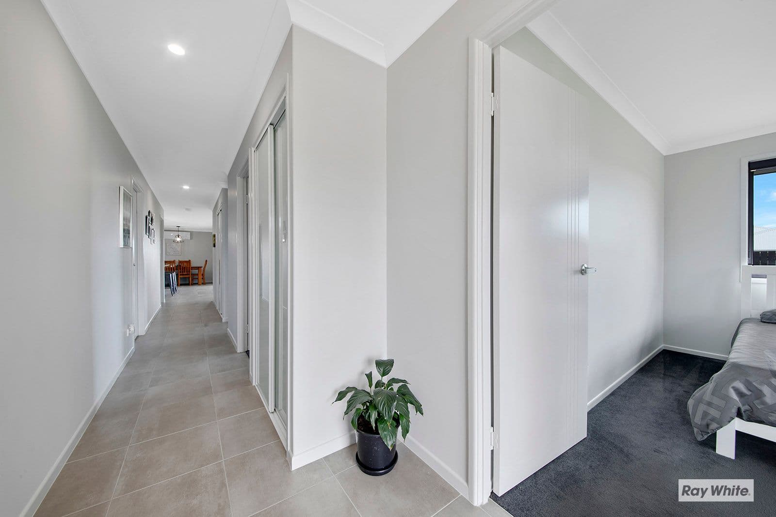 16 Shoalwater Circuit, Lammermoor QLD 4703, Lammermoor - Thumbnail 4