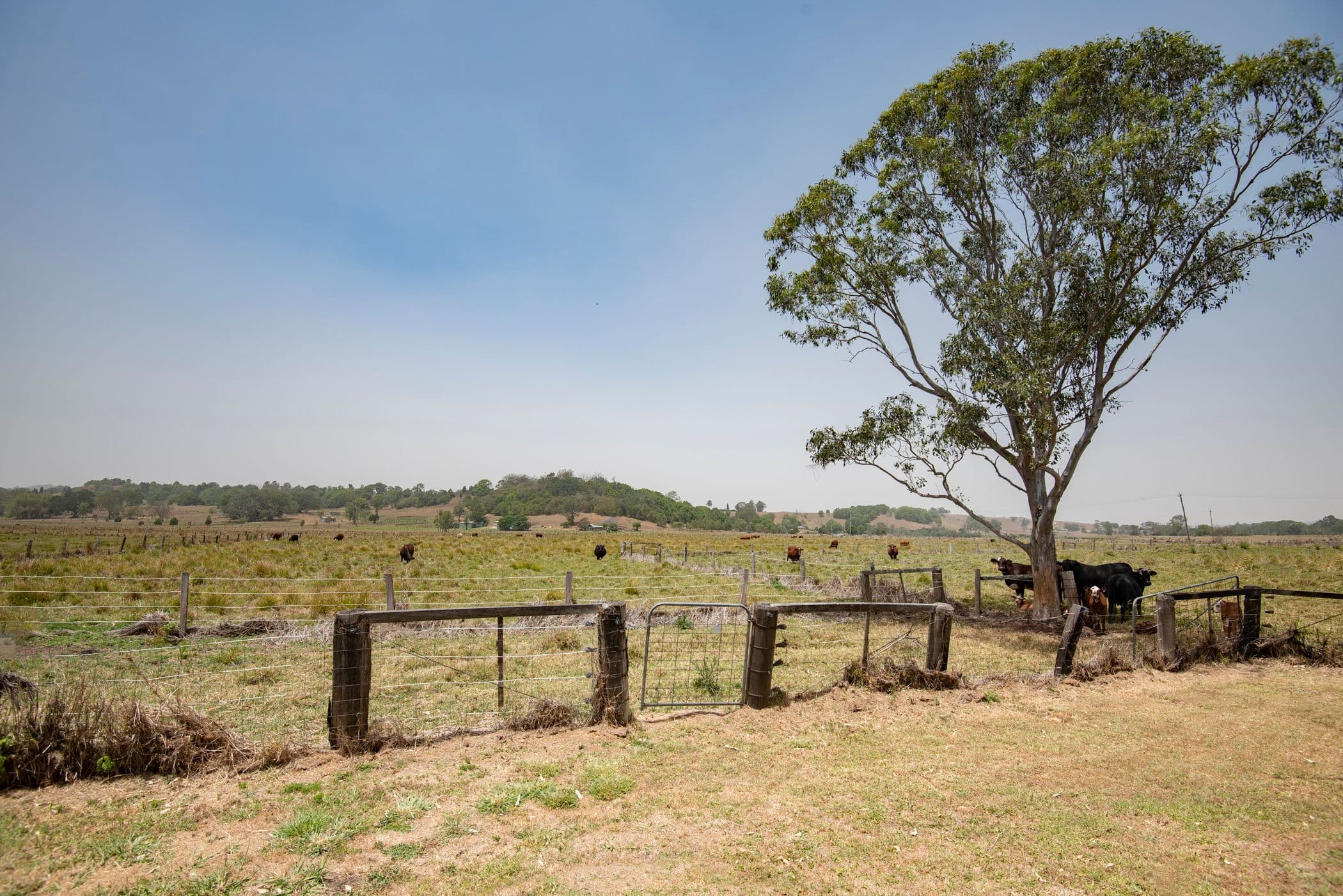 282 Gundurimba Road, Monaltrie - Thumbnail 2